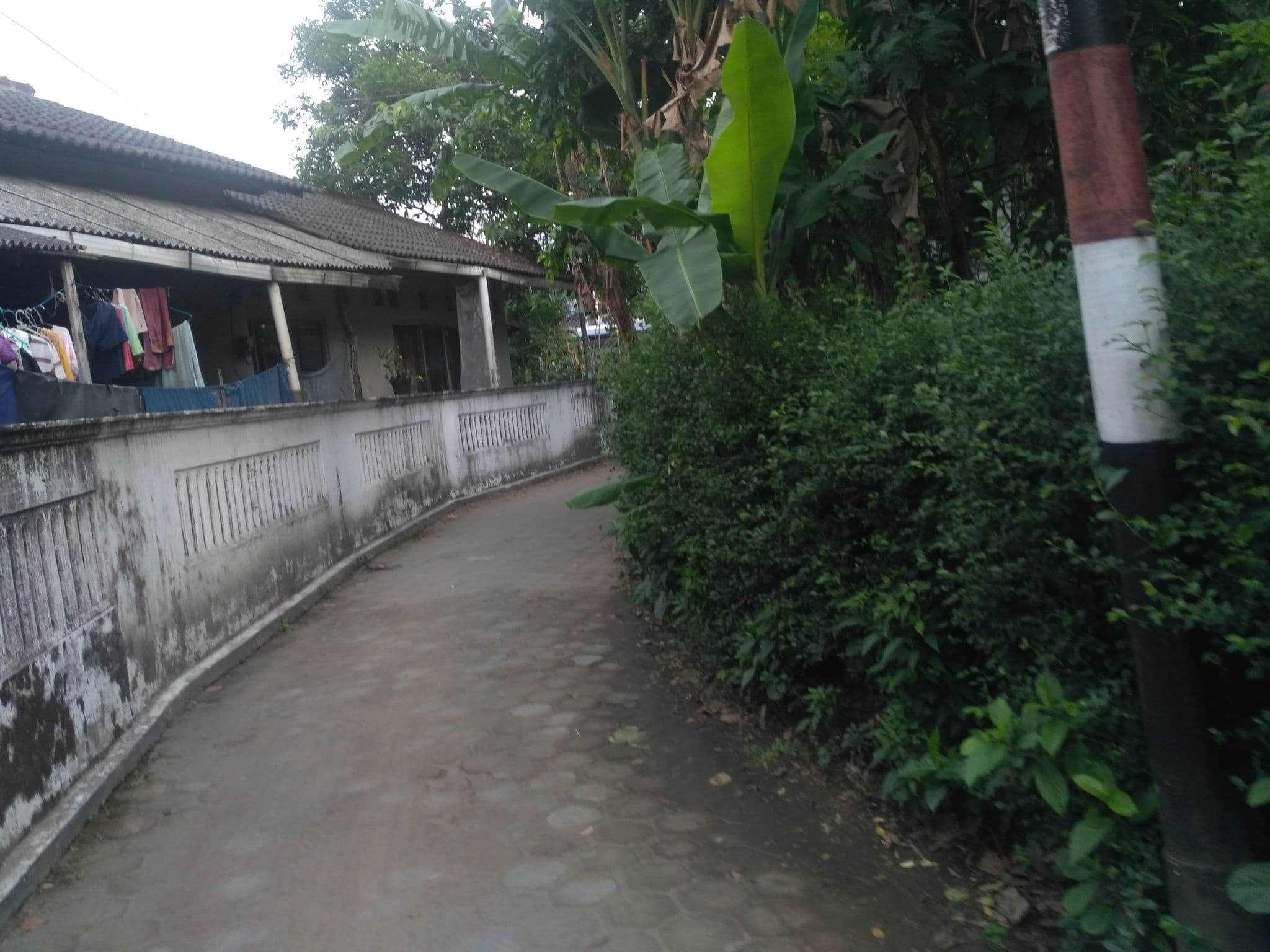 Street view near Kos Putra Ceria, Melati