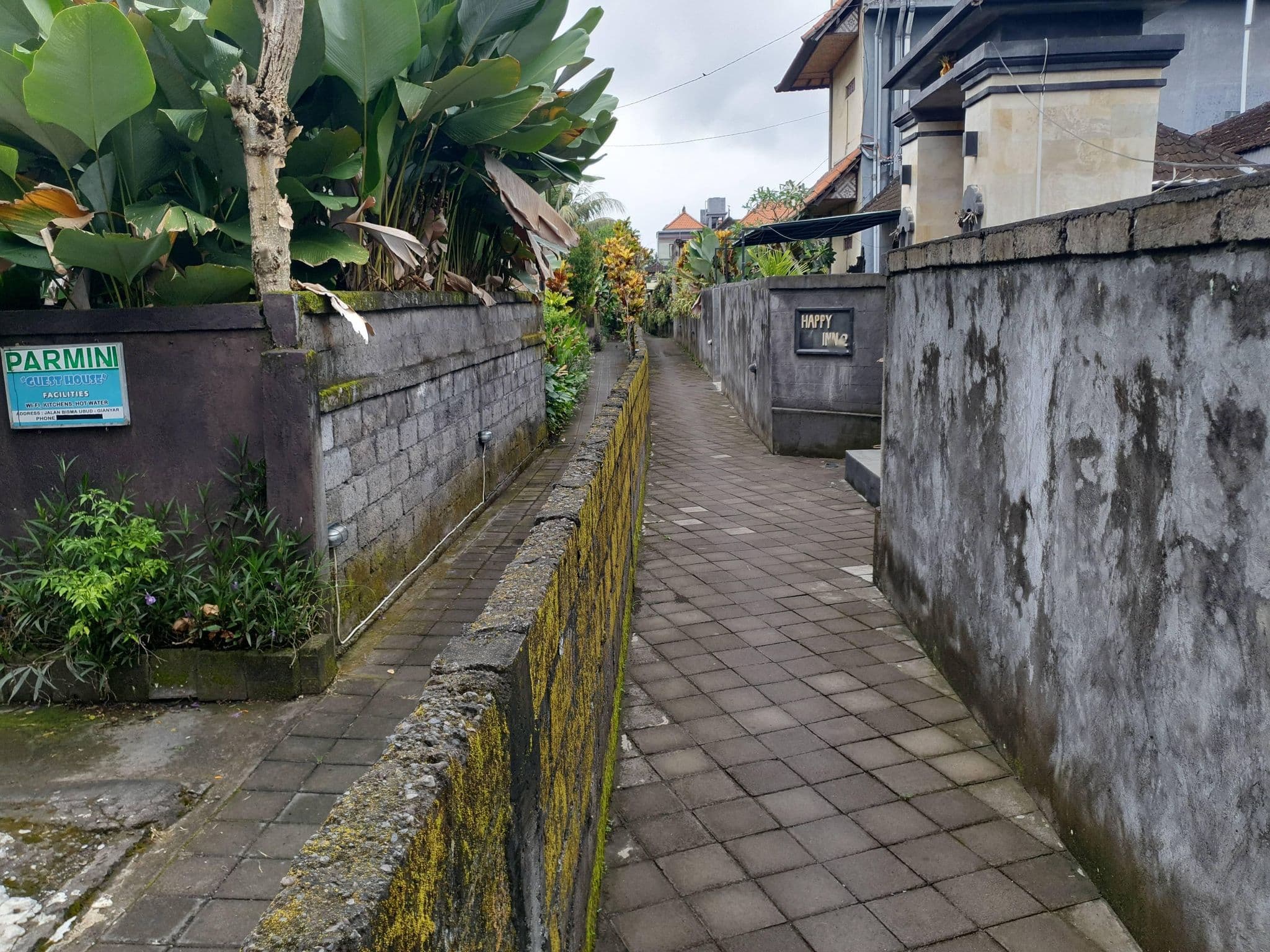 Street view near Happy Inn 2, Ubud