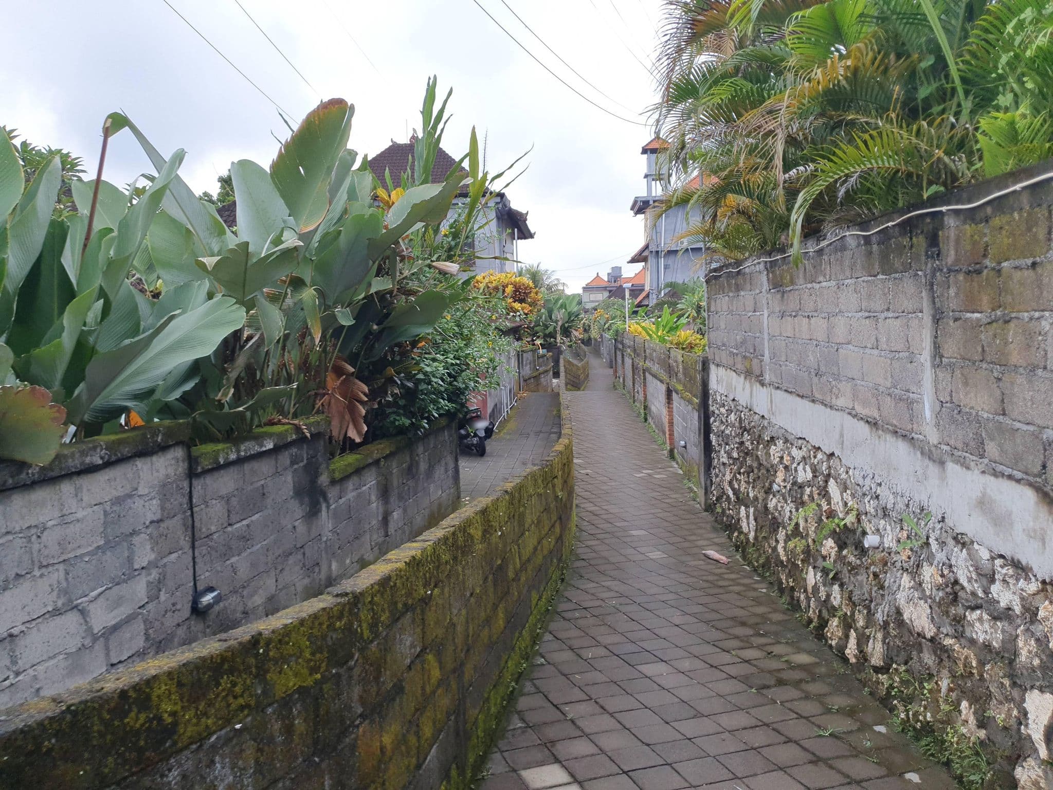 Street view near Monka House, Ubud