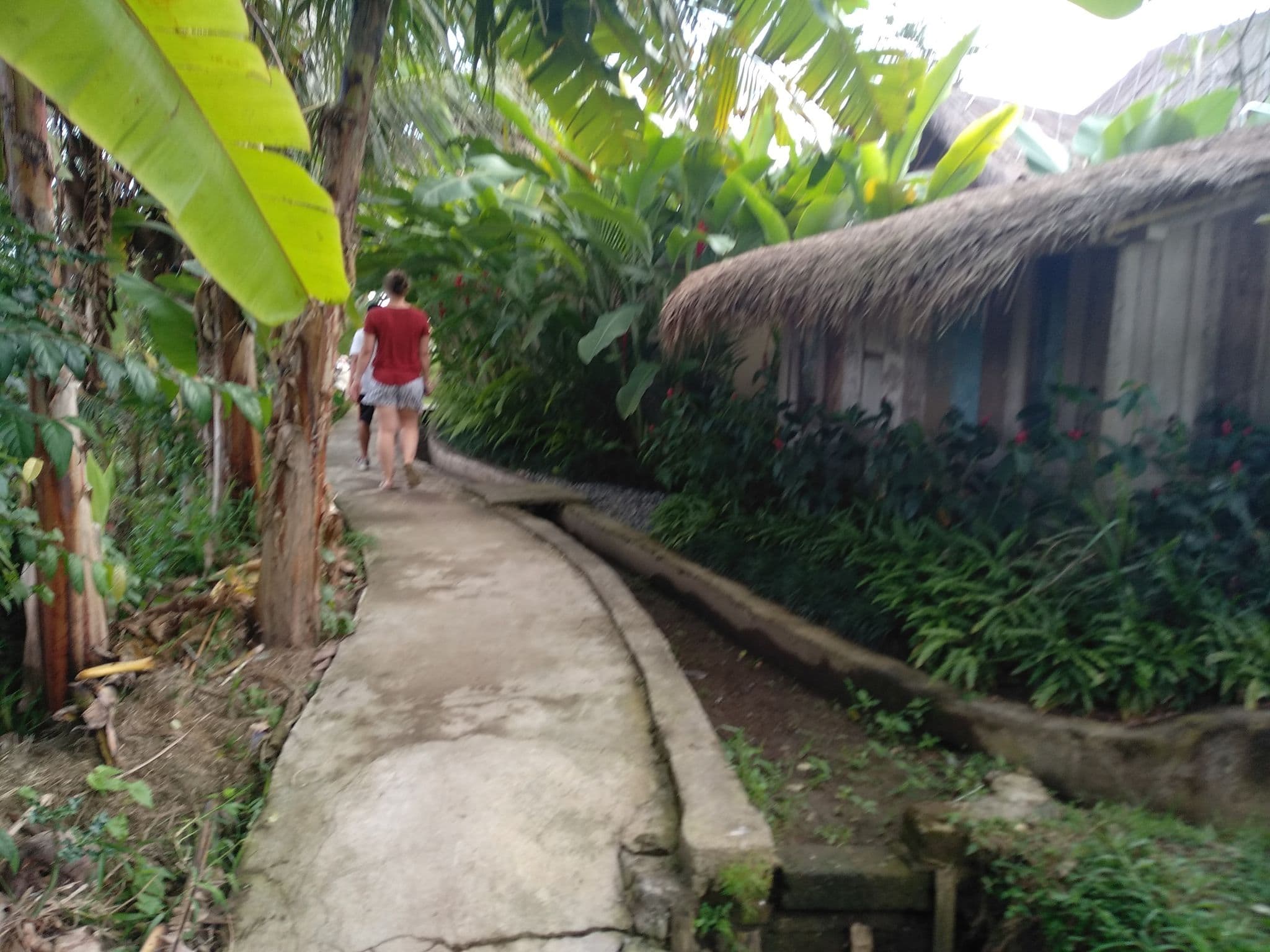 Street view near Villa Luma, Ubud