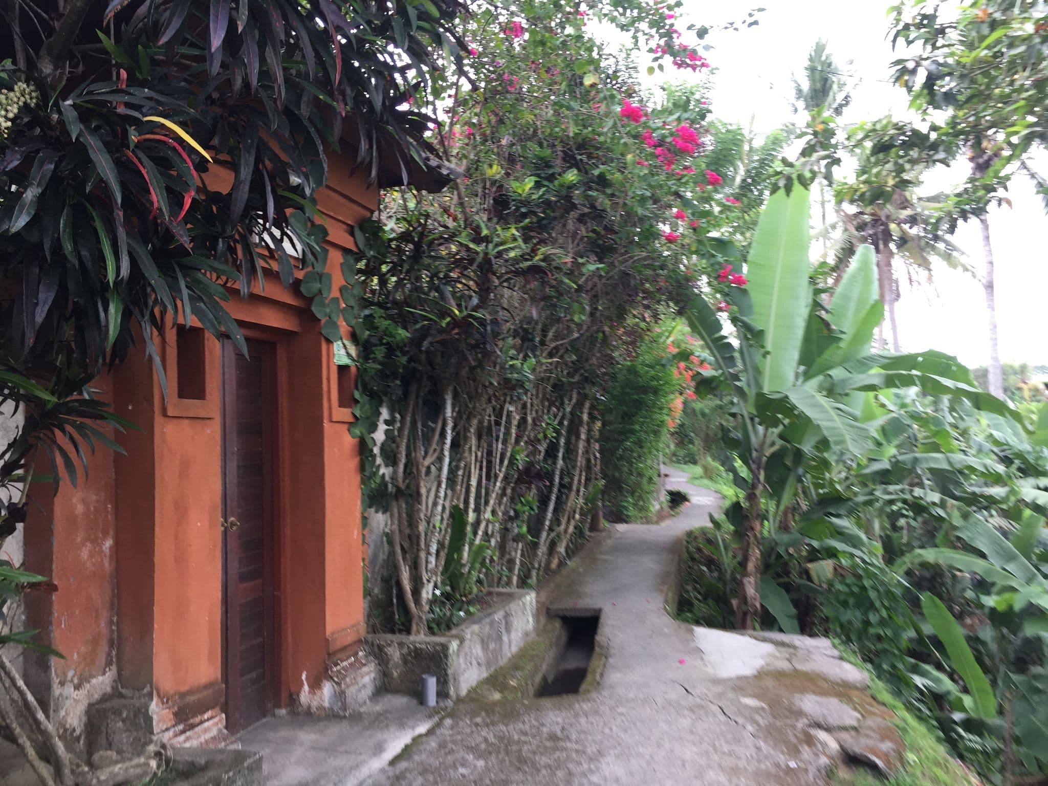 Street view near Palms house, Ubud