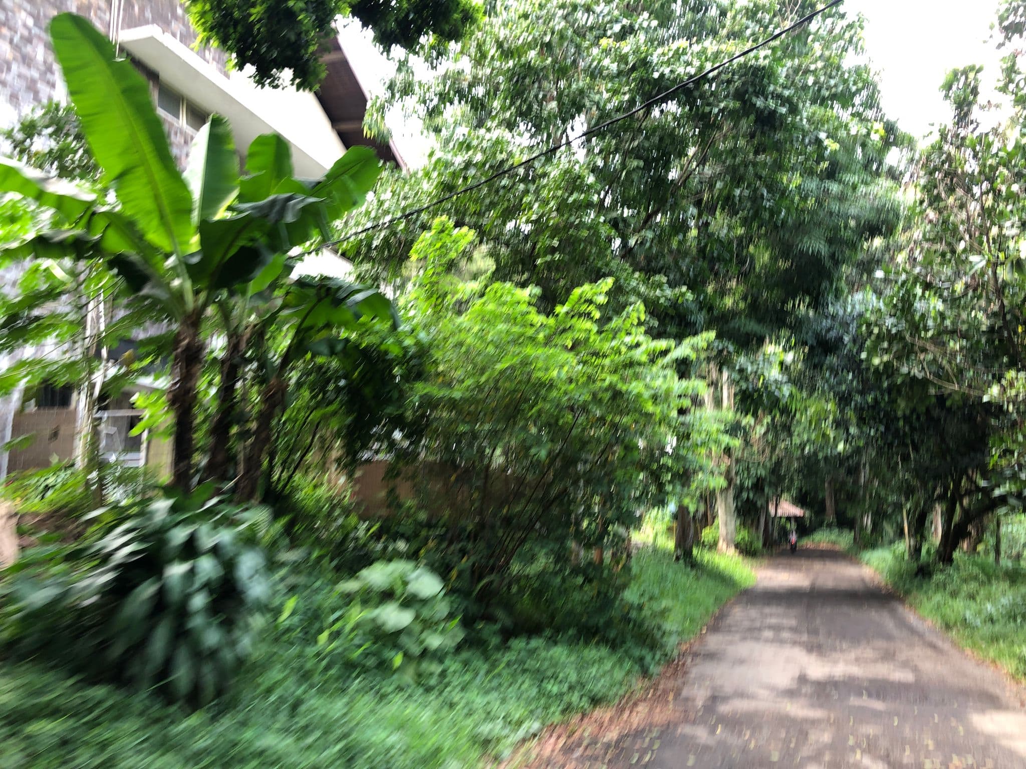 Street view near Wisma Amarilis, Ciampea — © addharuery (CC BY-SA · Mapillary)