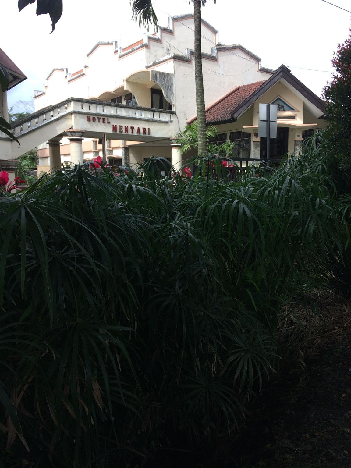 Street view near Hotel Mentari Batu, Batu — © maphunter_id (CC BY-SA · Mapillary)
