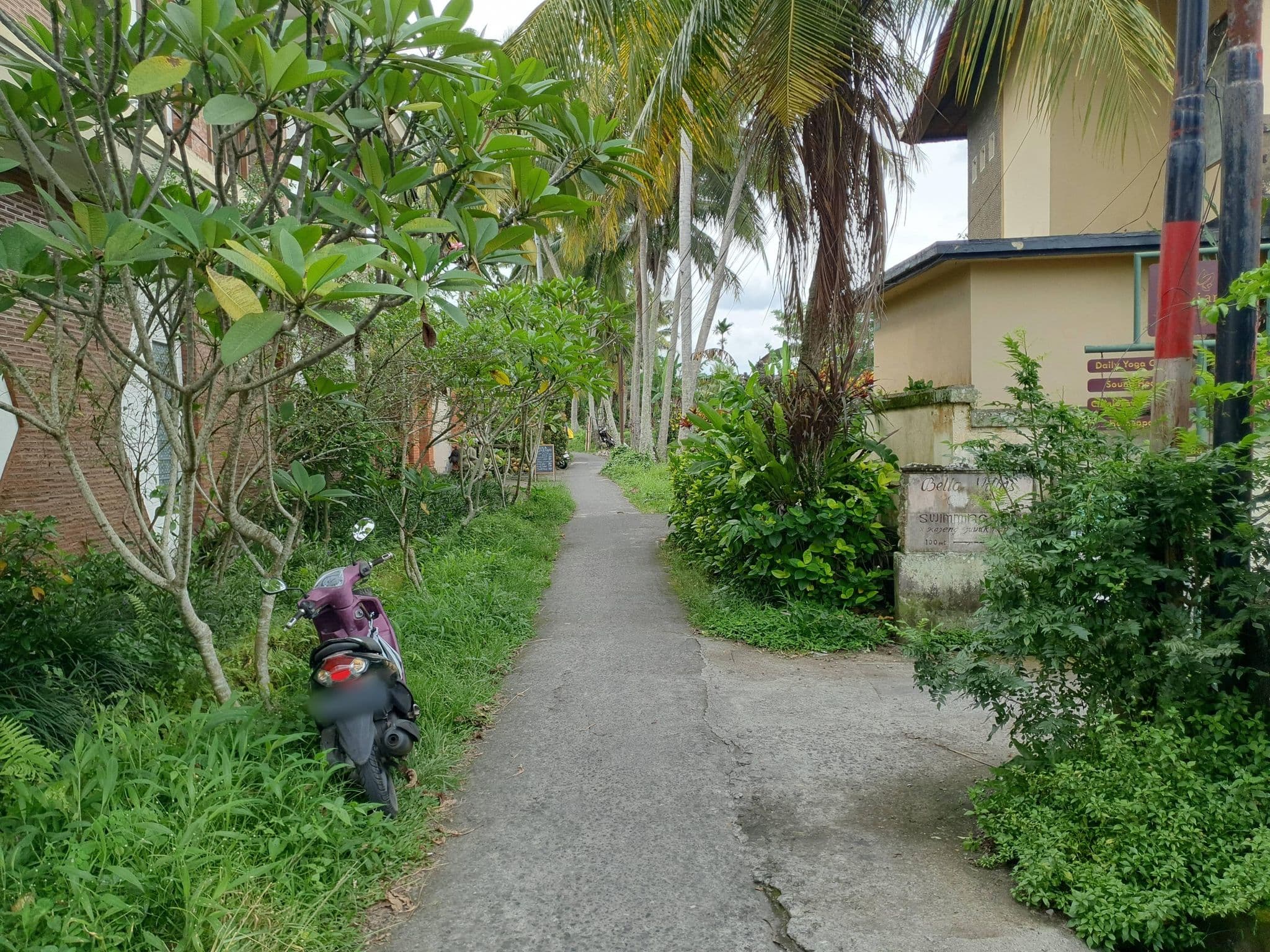 Street view near Bella Villas Bungalows, Ubud