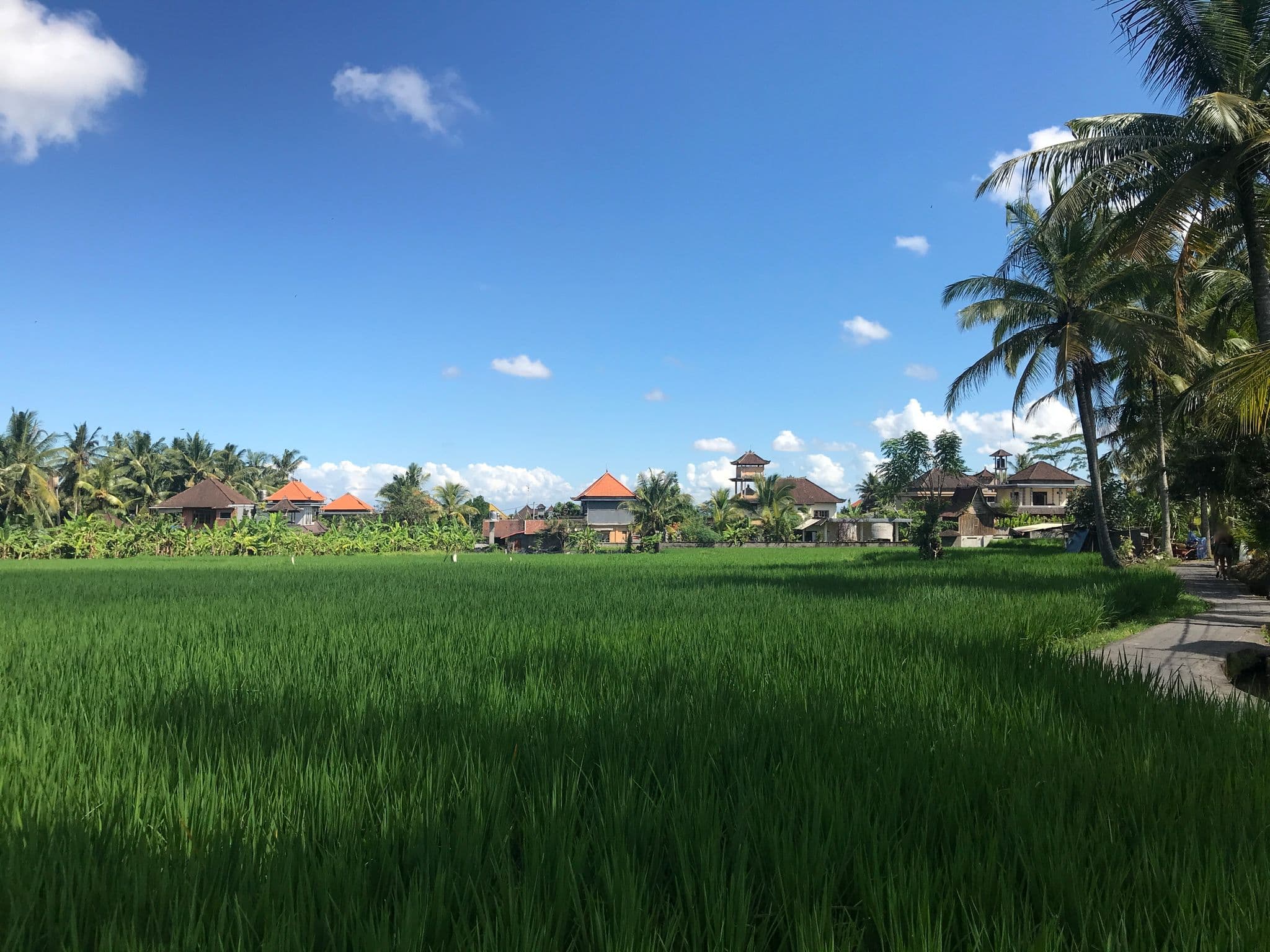 Street view near Ubud Rice Field house, Ubud — © alekseyrm (CC BY-SA · Mapillary)