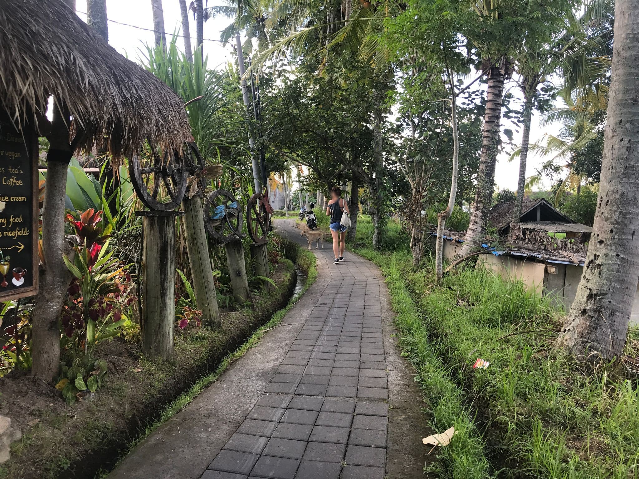 Street view near Dragonfly Village, Ubud