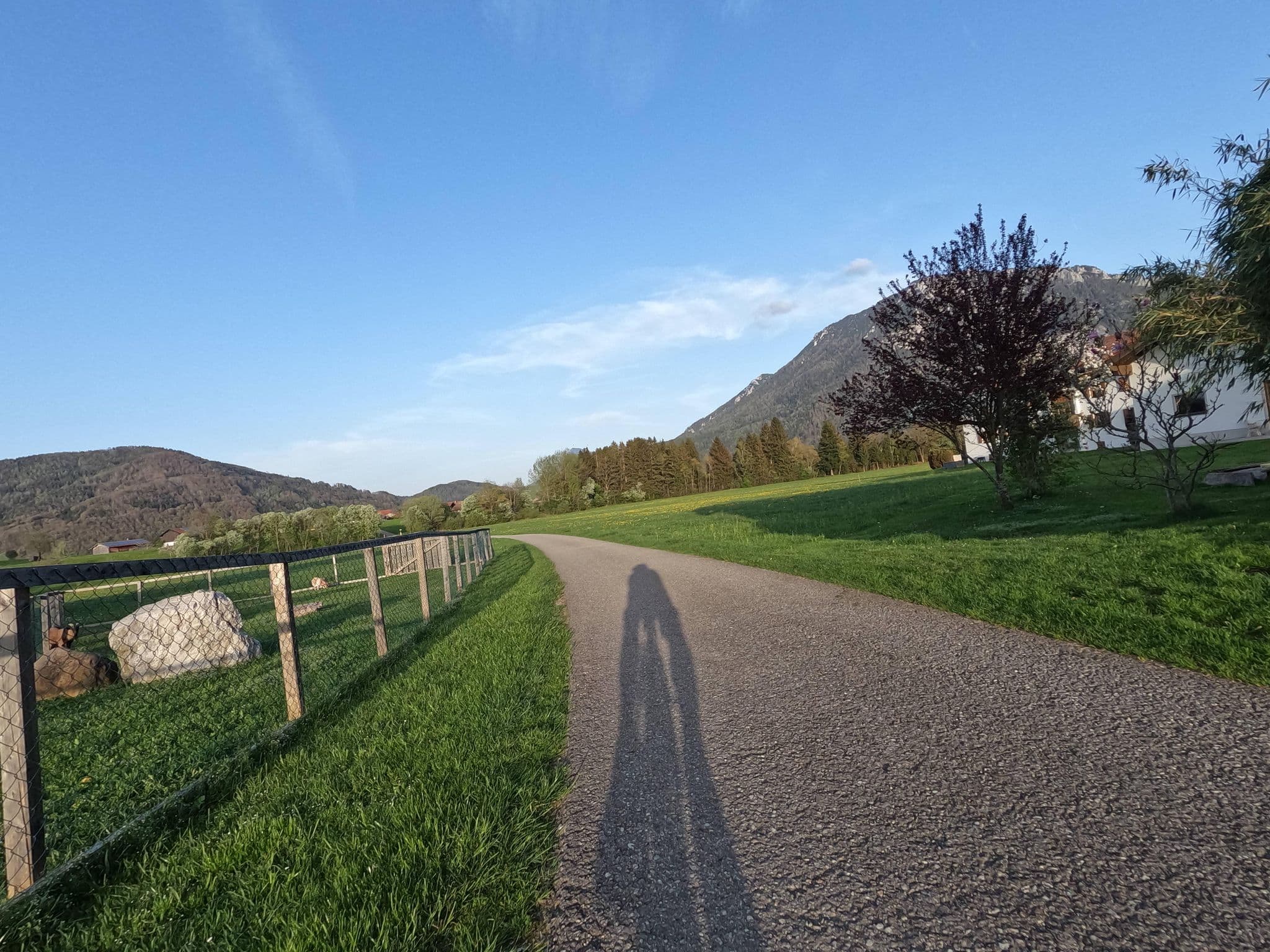 Street view near Ferienhaus Pointner, Ruhpolding — © natebus (CC BY-SA · Mapillary)