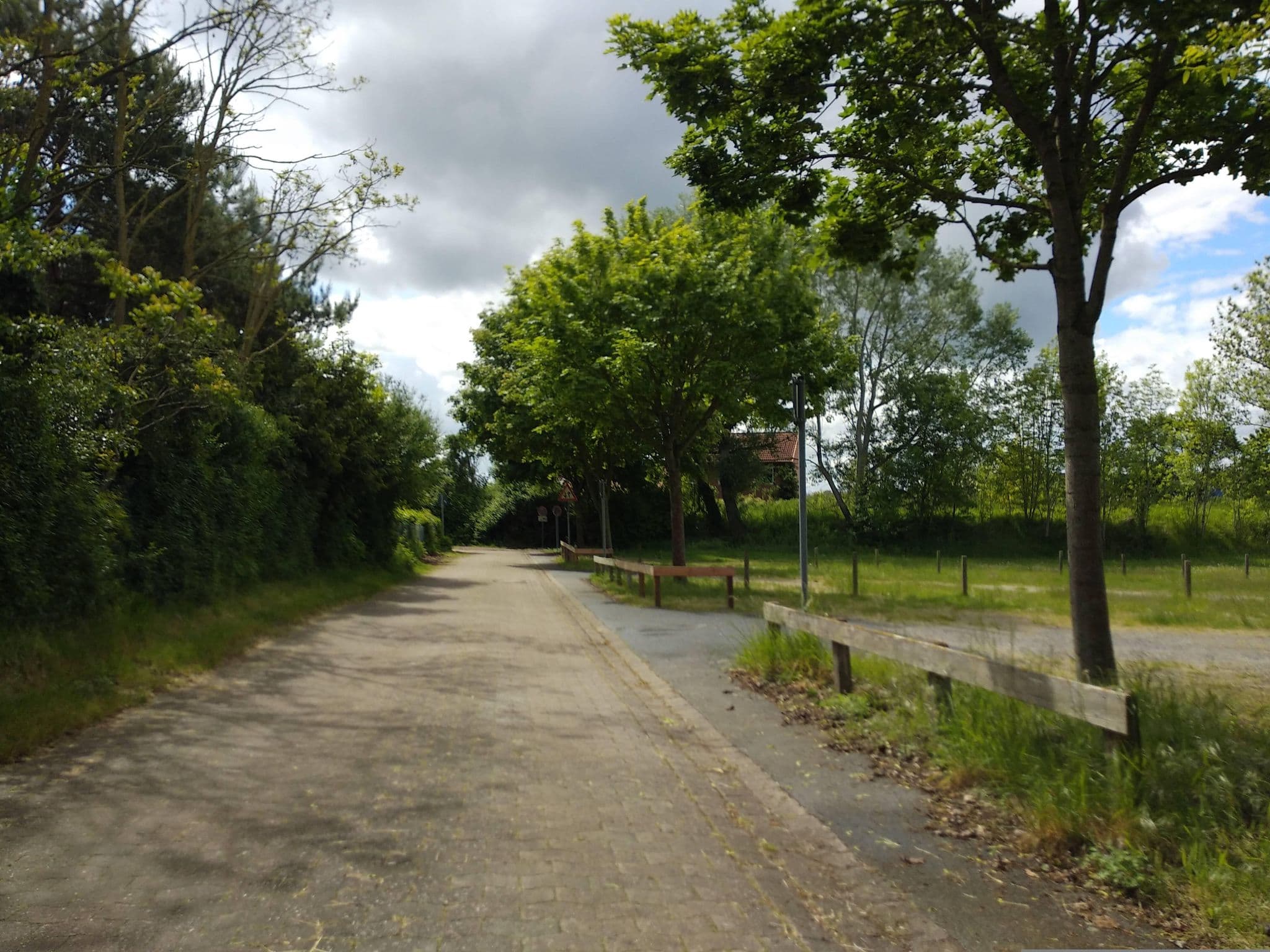 Street view near Bokeloh, Hagenburg — © steinm (CC BY-SA · Mapillary)