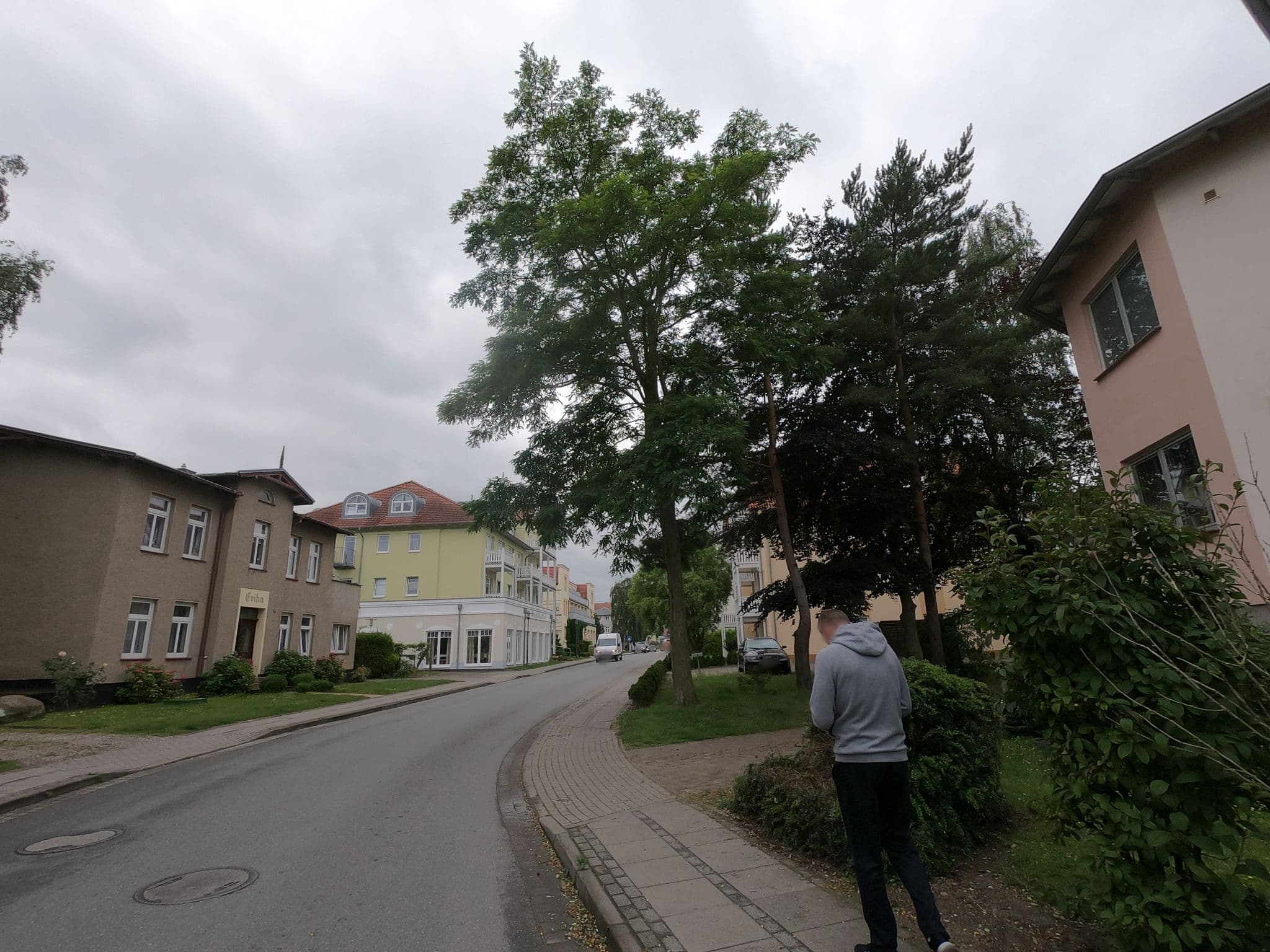 Street view near Villa Anika, Ostseebad Kühlungsborn — © carlheinz (CC BY-SA · Mapillary)