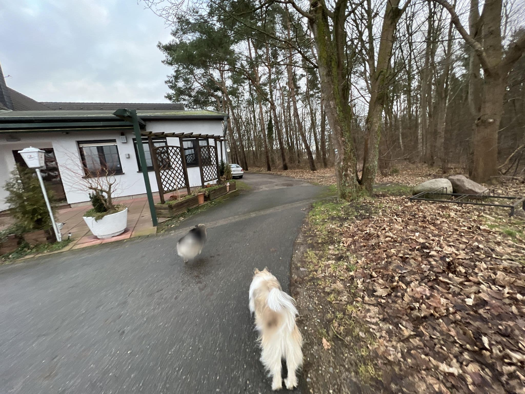 Street view near Heidekrug, Plau am See — © Santadragon (CC BY-SA · Mapillary)