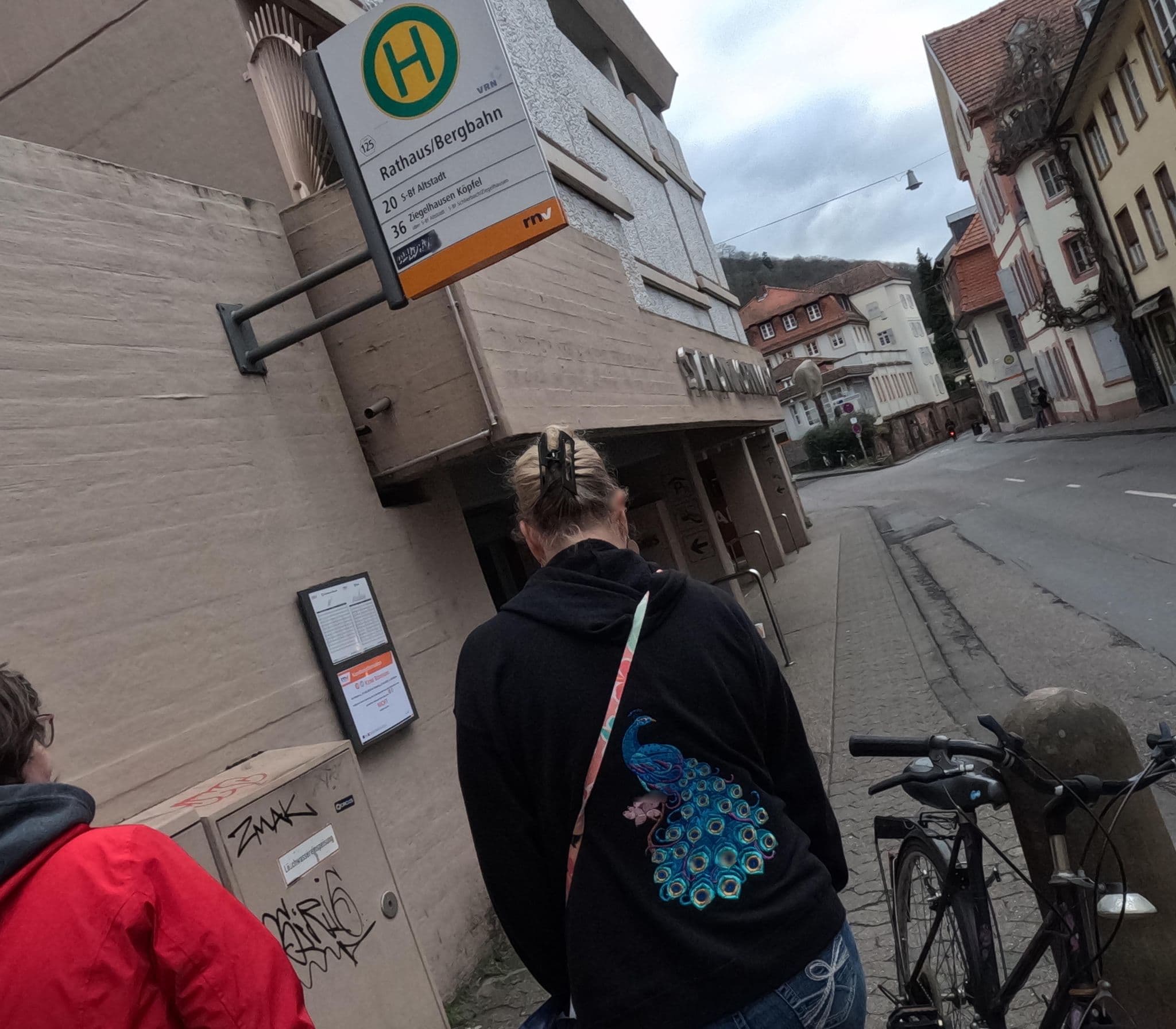 Street view near Hotel am Schloss, Heidelberg — © chuck (CC BY-SA · Mapillary)