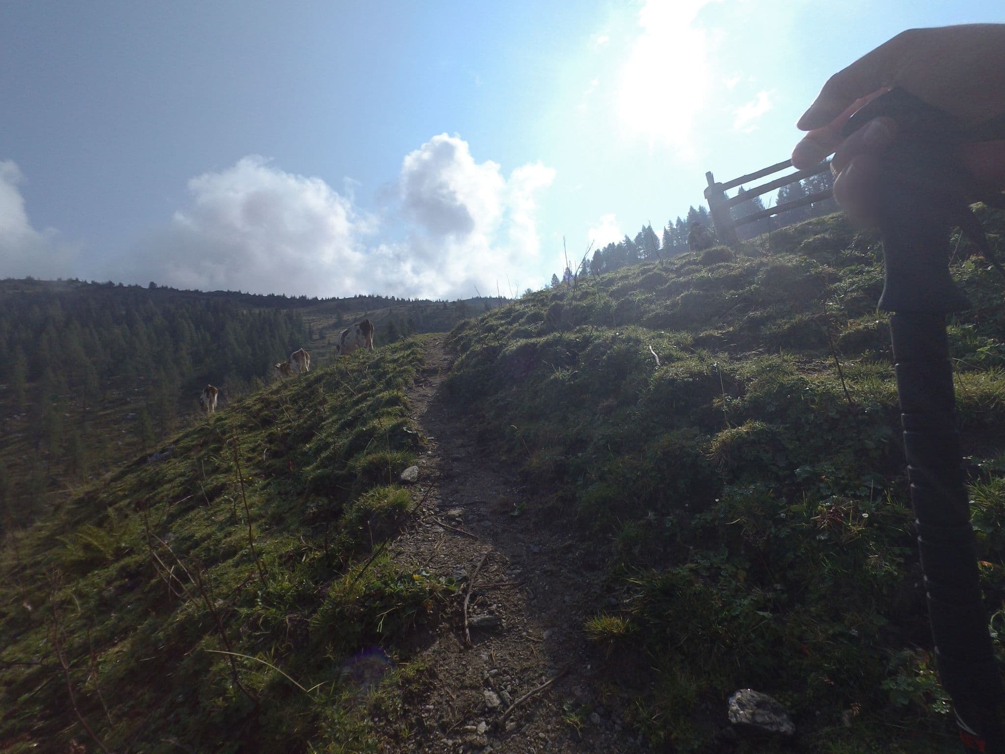 Street view near Großwildalm, Grossarl — © schermy_at (CC BY-SA · Mapillary)