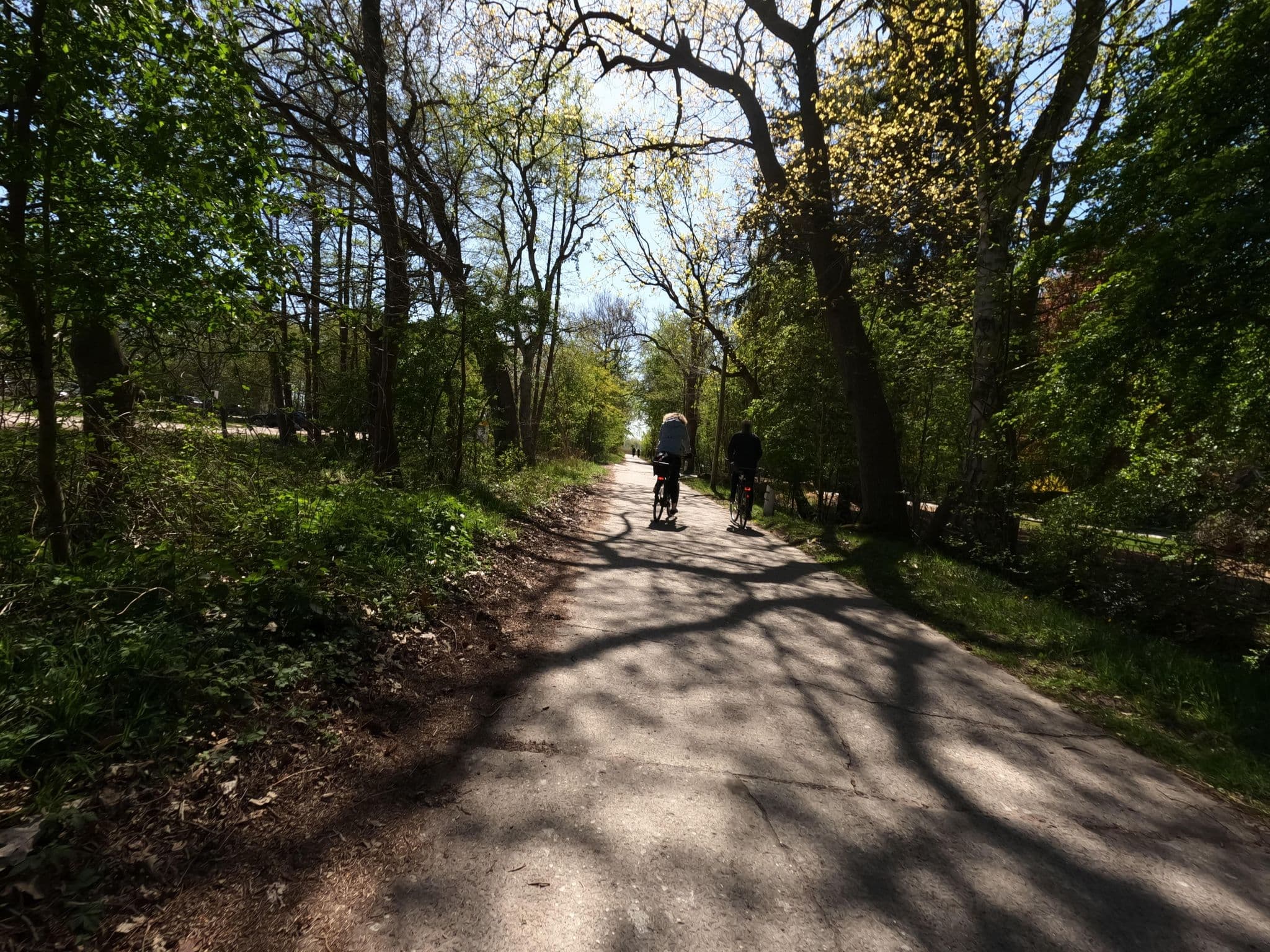 Street view near Hotel Schlösschen Sundische Wiese, Zingst — © hektor1989 (CC BY-SA · Mapillary)