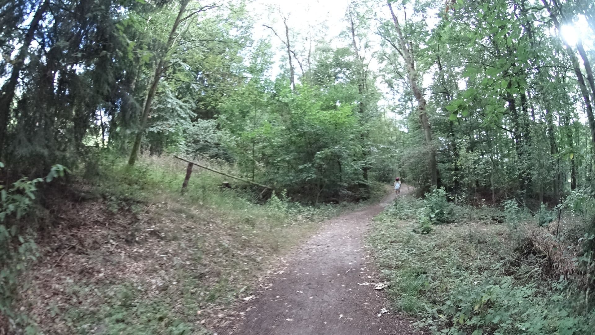 Street view near Hotel Pension Haus Heidetal, Bispingen — © sashazykov (CC BY-SA · Mapillary)