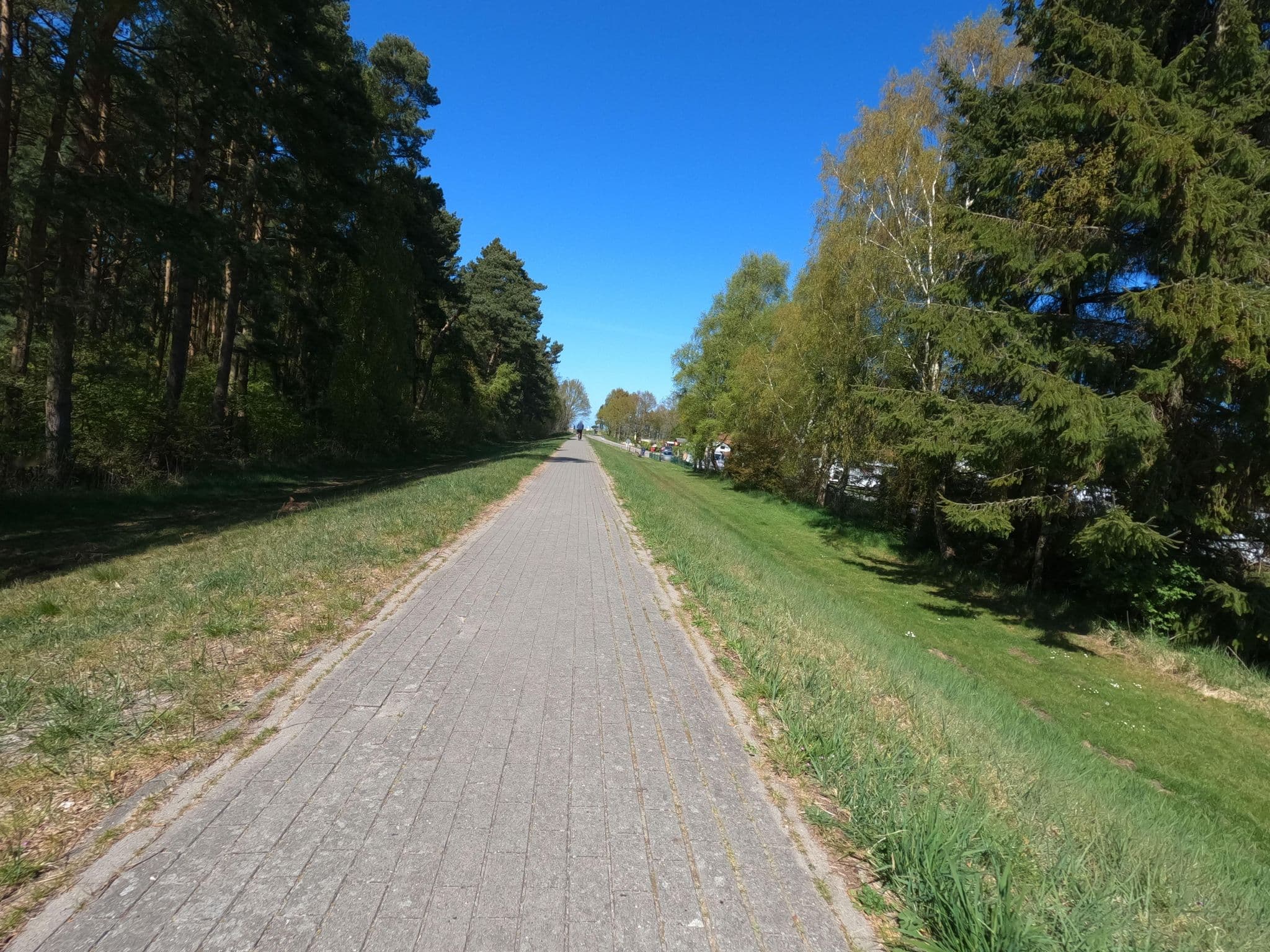 Street view near Reise Mobil Hafen Am Freesenbruch, Zingst — © hektor1989 (CC BY-SA · Mapillary)
