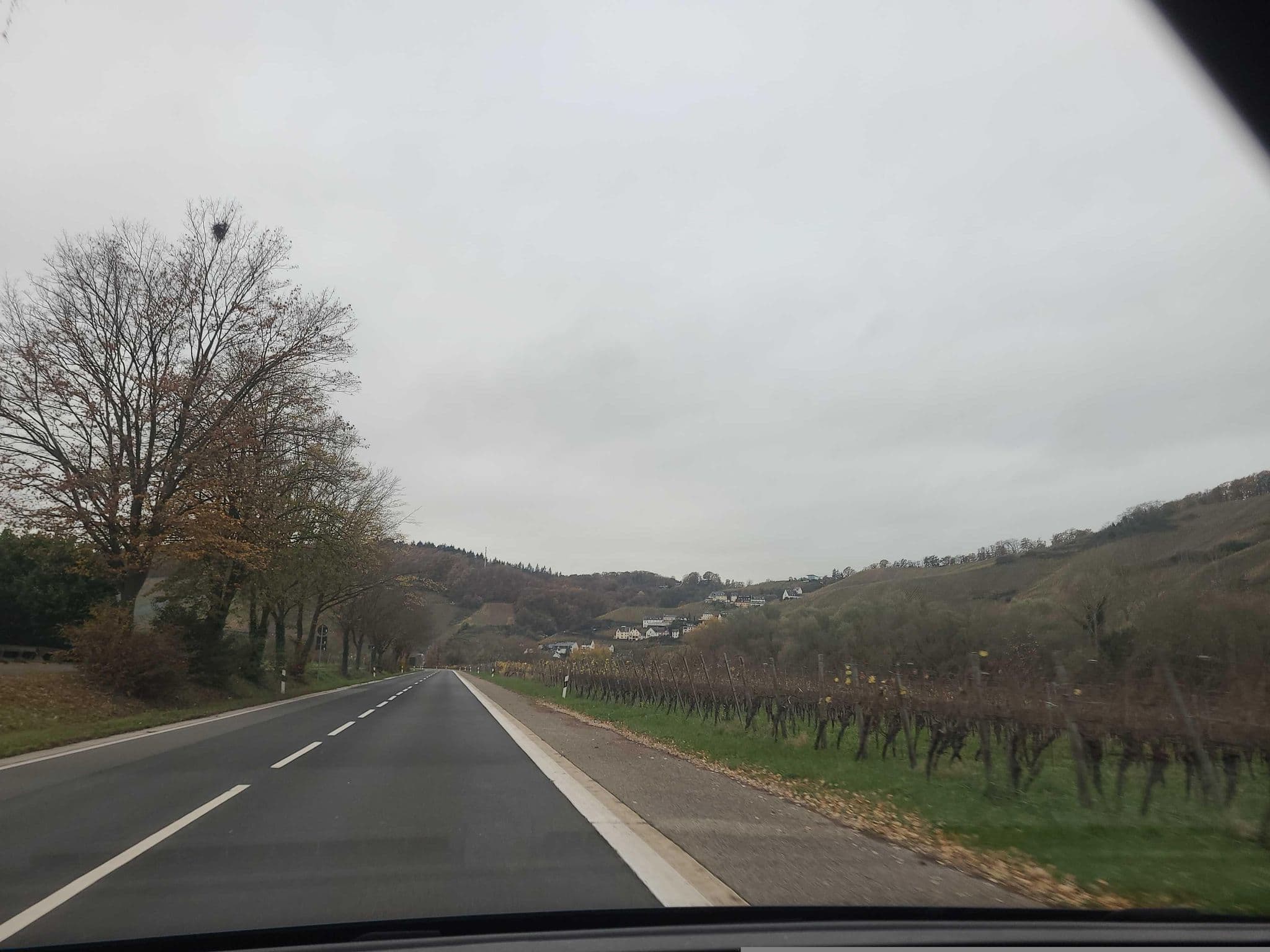 Street view near PrivatzimmerAnton Schwaab, Zeltingen-Rachtig — © sergcatalan (CC BY-SA · Mapillary)