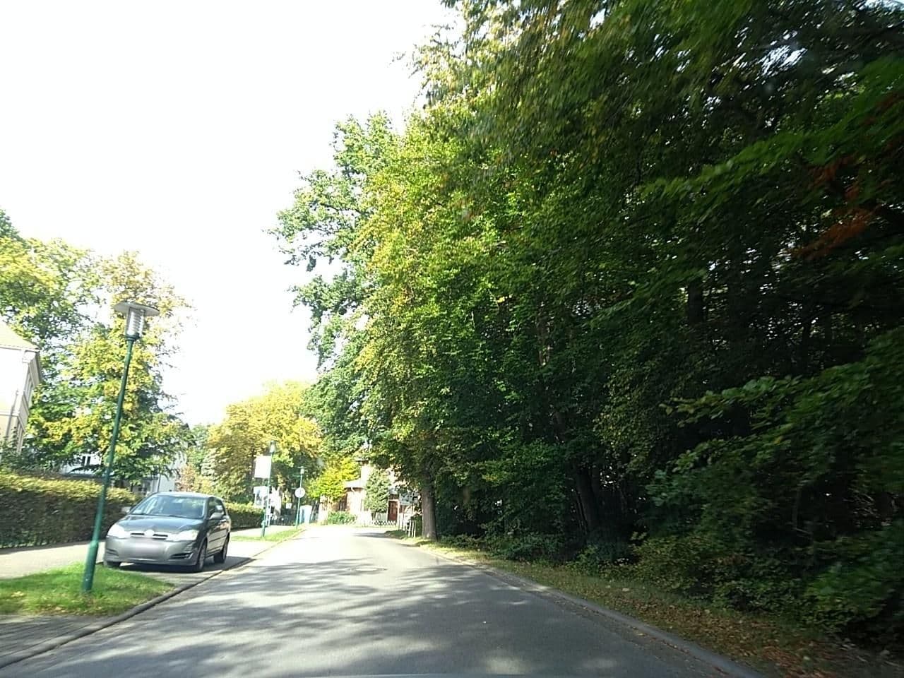 Street view near Haus Bucheneck, Seeheilbad Graal-Müritz — © thetornado76 (CC BY-SA · Mapillary)