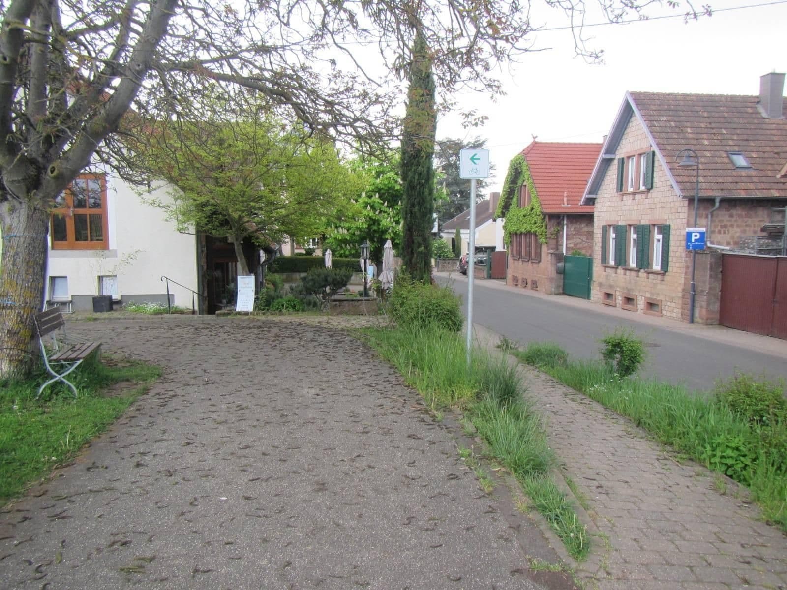 Street view near Weingut Höffner, Rhodt unter Rietburg — © VIA_TZ (CC BY-SA · Mapillary)