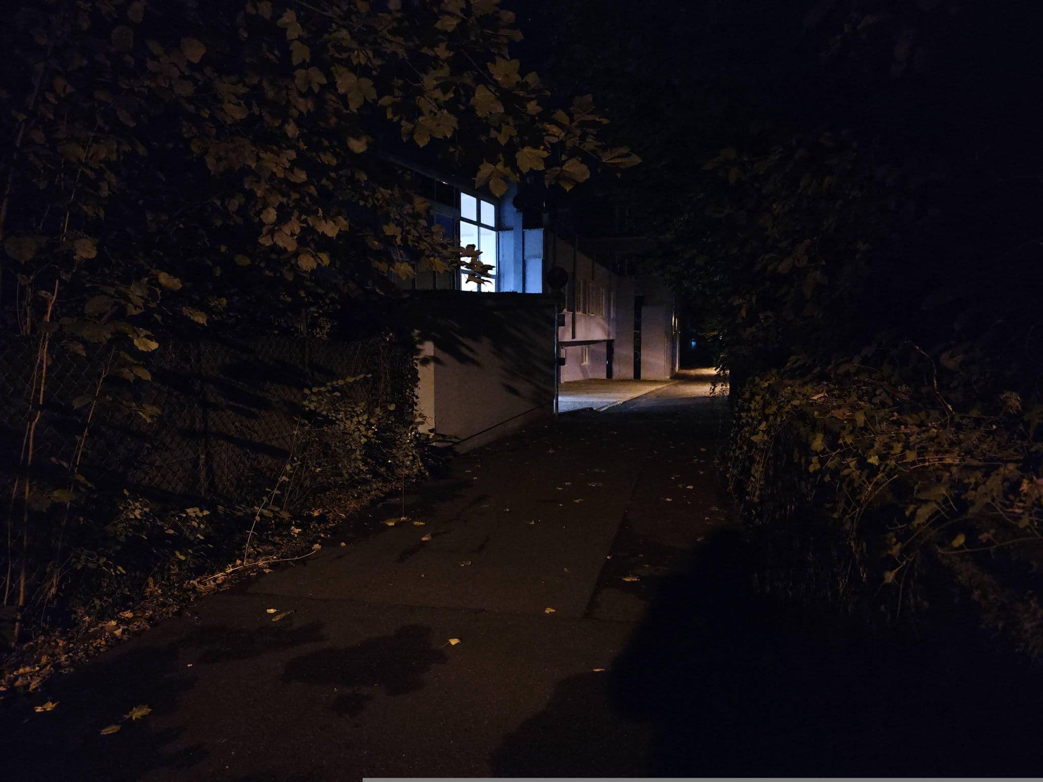 Street view near Bella Flora, Bad Kissingen — © sykopenleben (CC BY-SA · Mapillary)