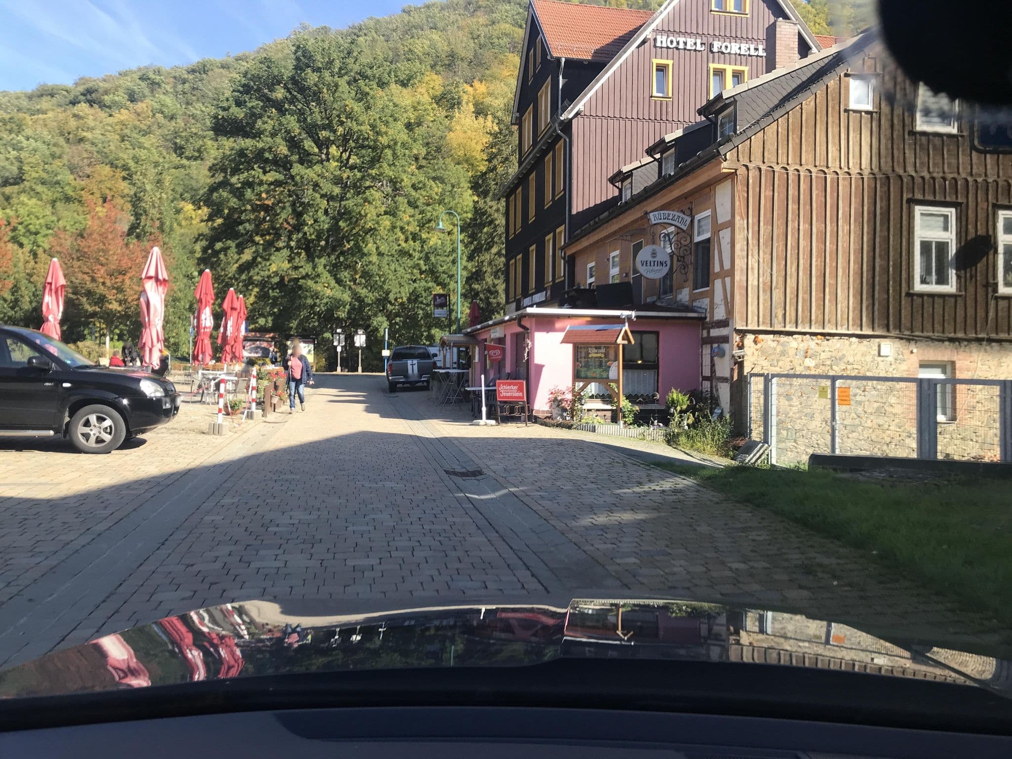 Street view near Hotel Bodethal, Friedrichsbrunn — © surveyor99 (CC BY-SA · Mapillary)