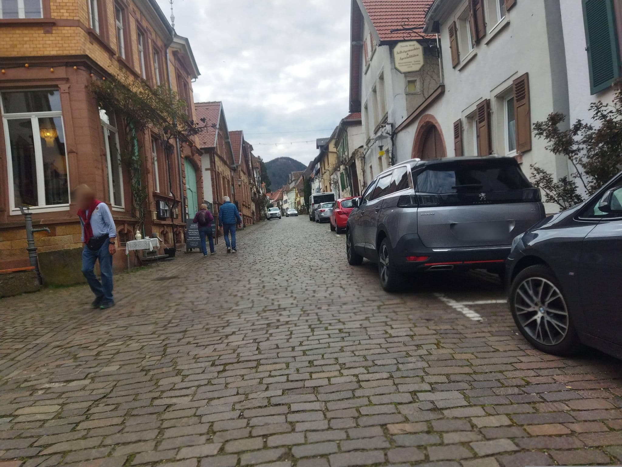 Street view near Gästehaus Pabst, Rhodt unter Rietburg — © changchun1 (CC BY-SA · Mapillary)