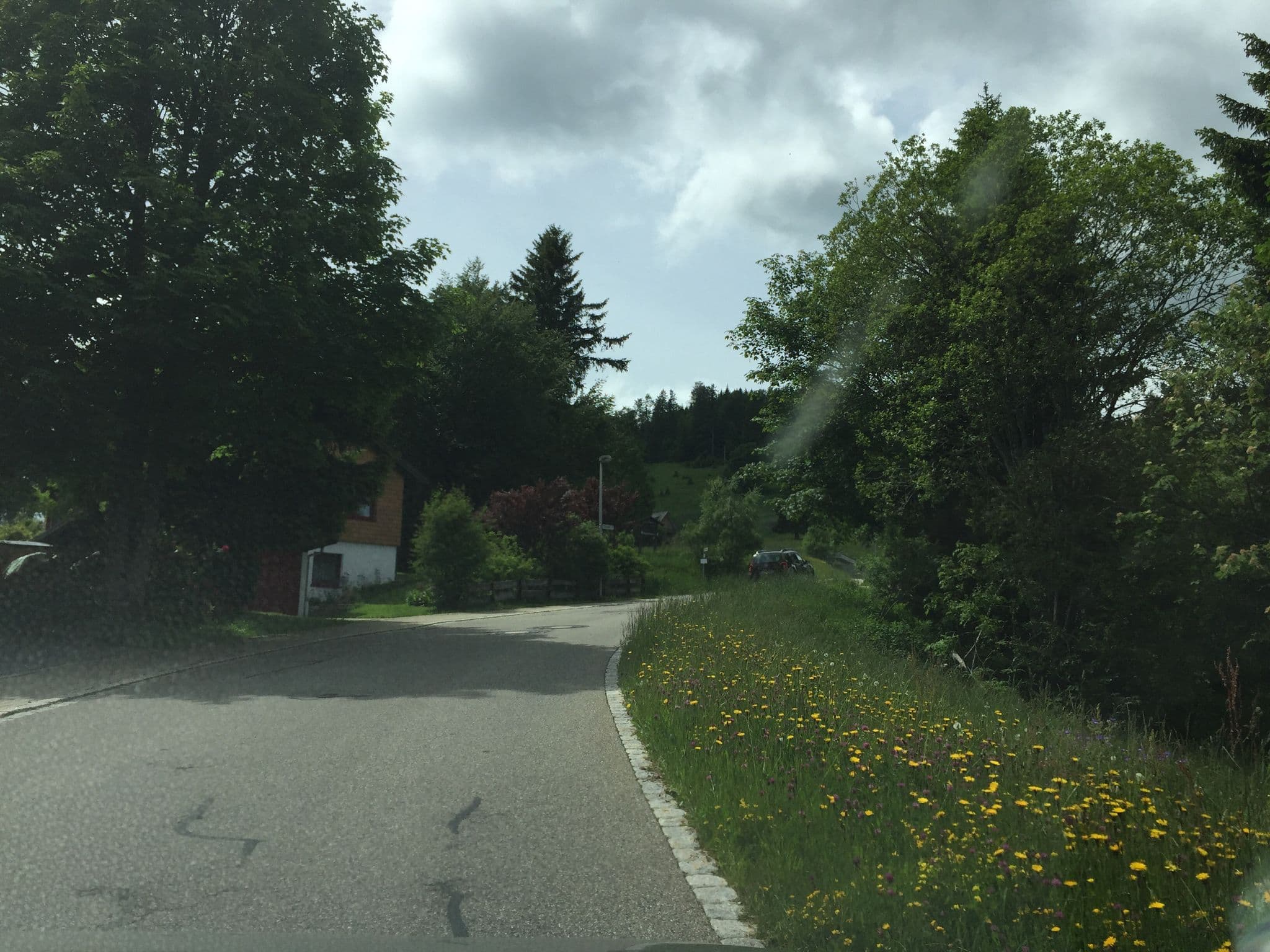 Street view near Haus Besamia, Todtnau — © m_groebs (CC BY-SA · Mapillary)