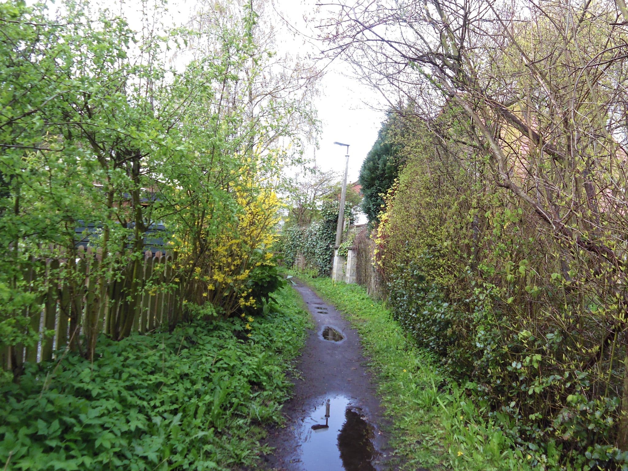 Street view near Ferienhaus Herzmuschel, Zingst — © zoegglmeyr (CC BY-SA · Mapillary)