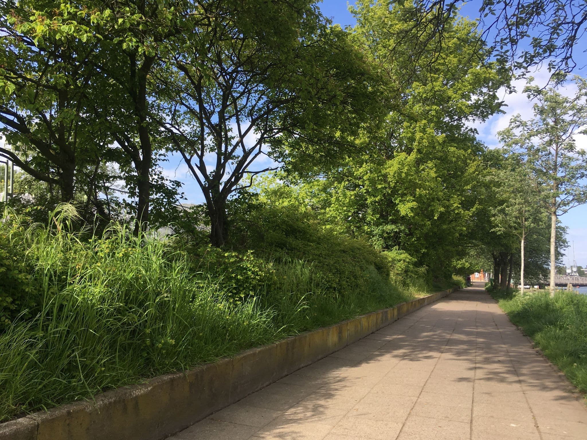Street view near P2 A1, Lübeck — © tobiasf (CC BY-SA · Mapillary)
