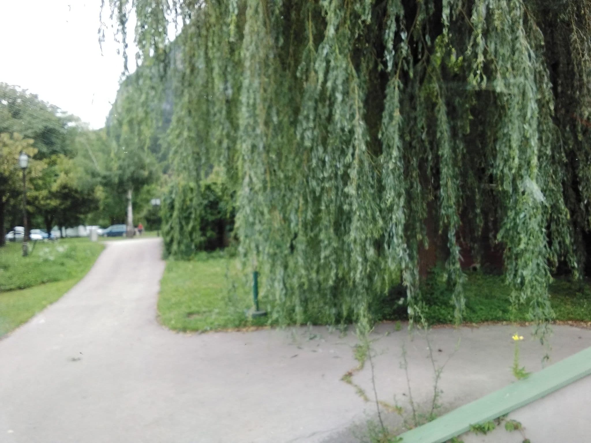 Street view near Dolomiten Camping Amlacherhof, Lienz — © mprins (CC BY-SA · Mapillary)