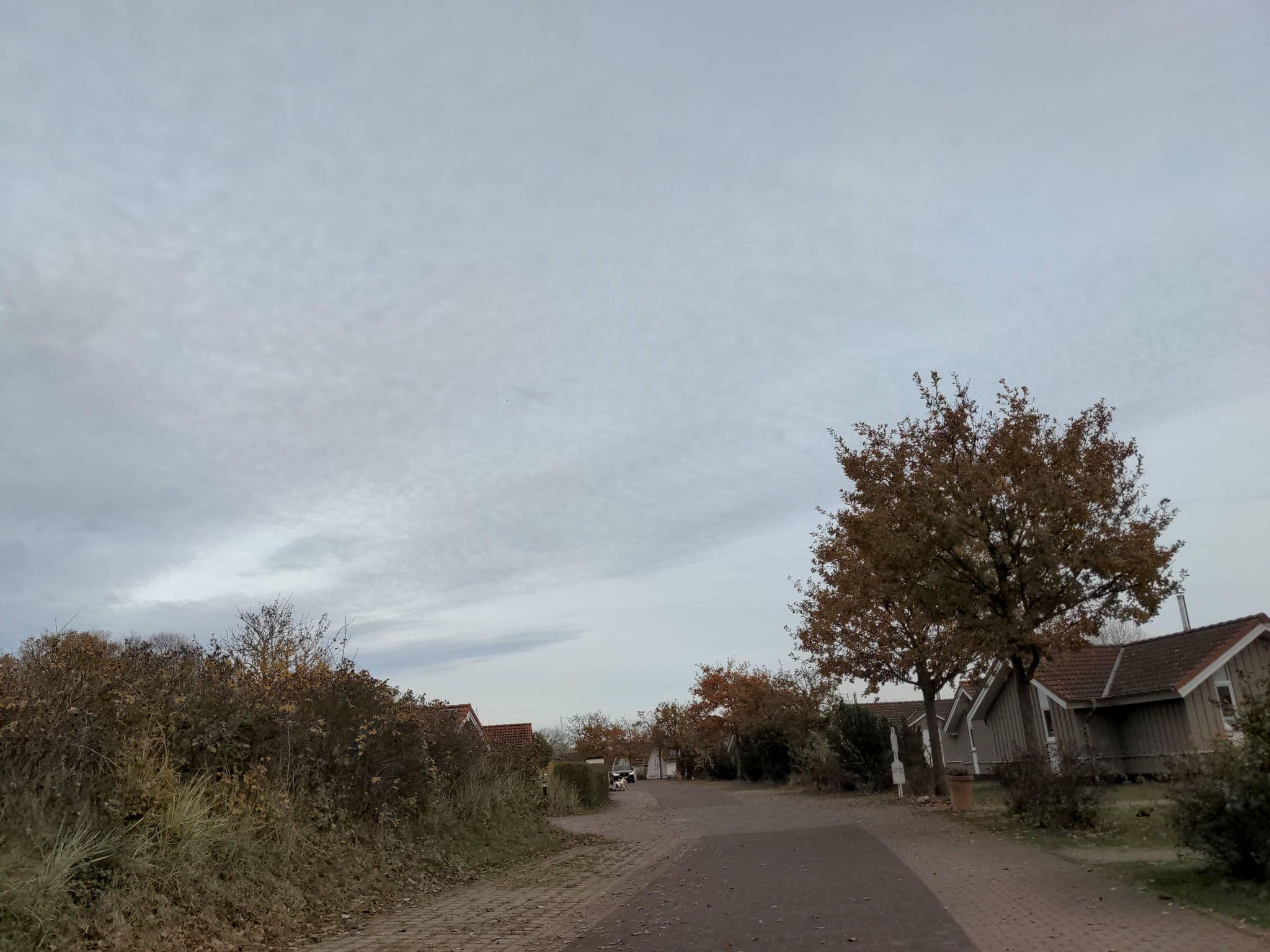 Street view near Holger Ehlers, Neustadt in Holstein