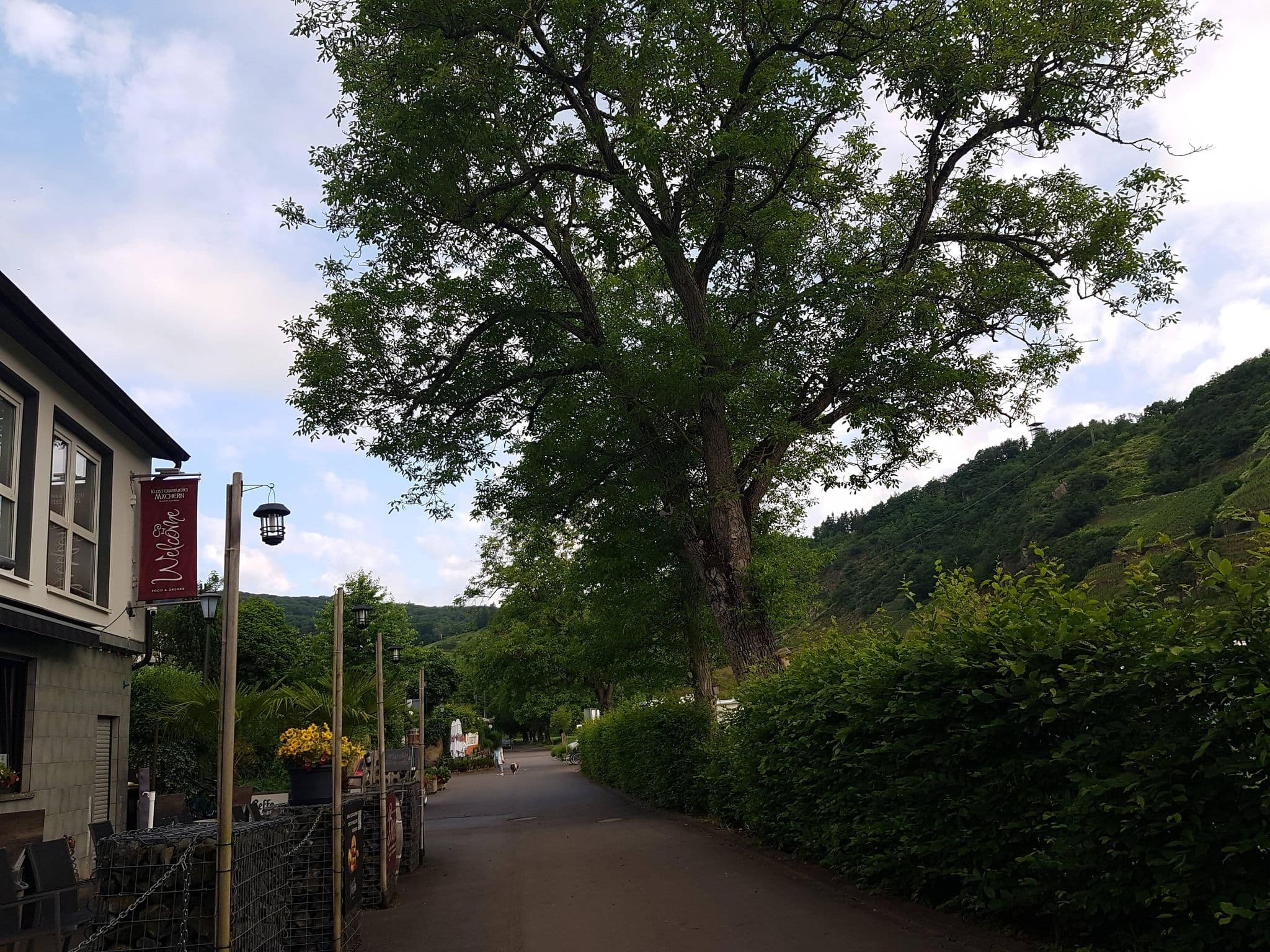 Street view near Moselcampingplatz Pünderich, Bullay — © Lowiekse (CC BY-SA · Mapillary)