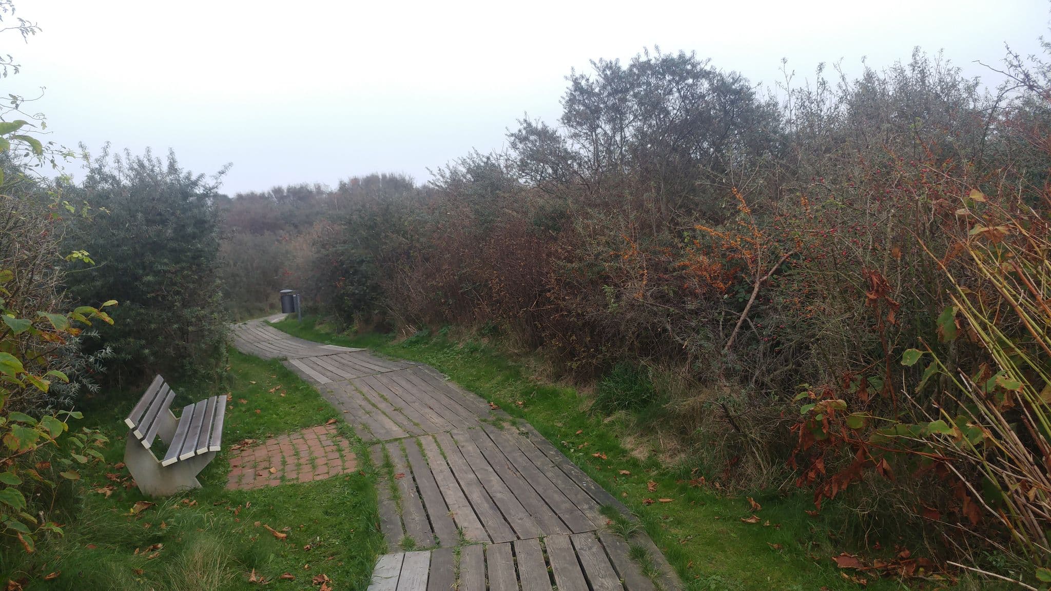Street view near Bli Hüs, Helgoland — © thx (CC BY-SA · Mapillary)