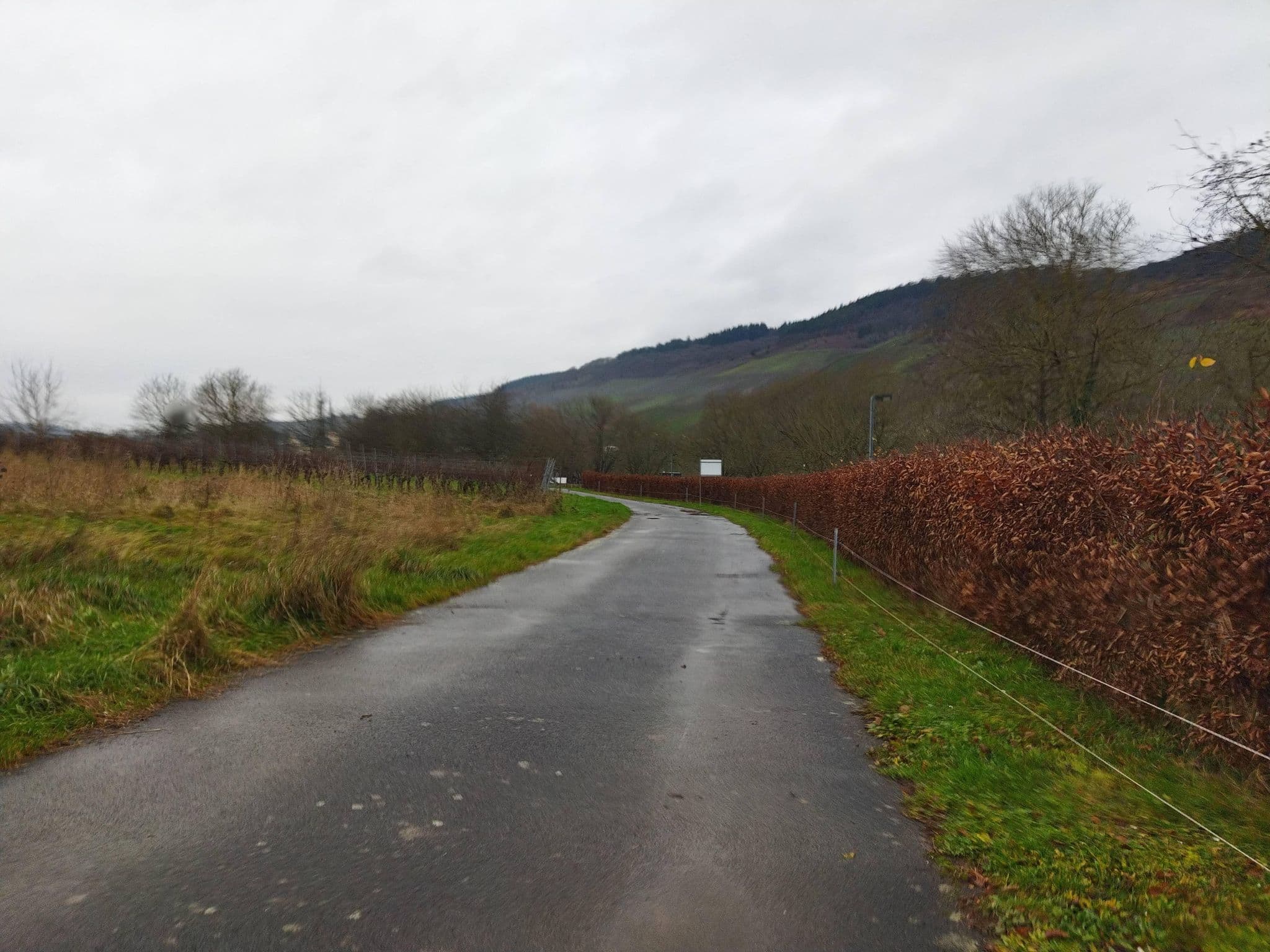 Street view near Moselcamping Wolf, Kröv — © changchun1 (CC BY-SA · Mapillary)