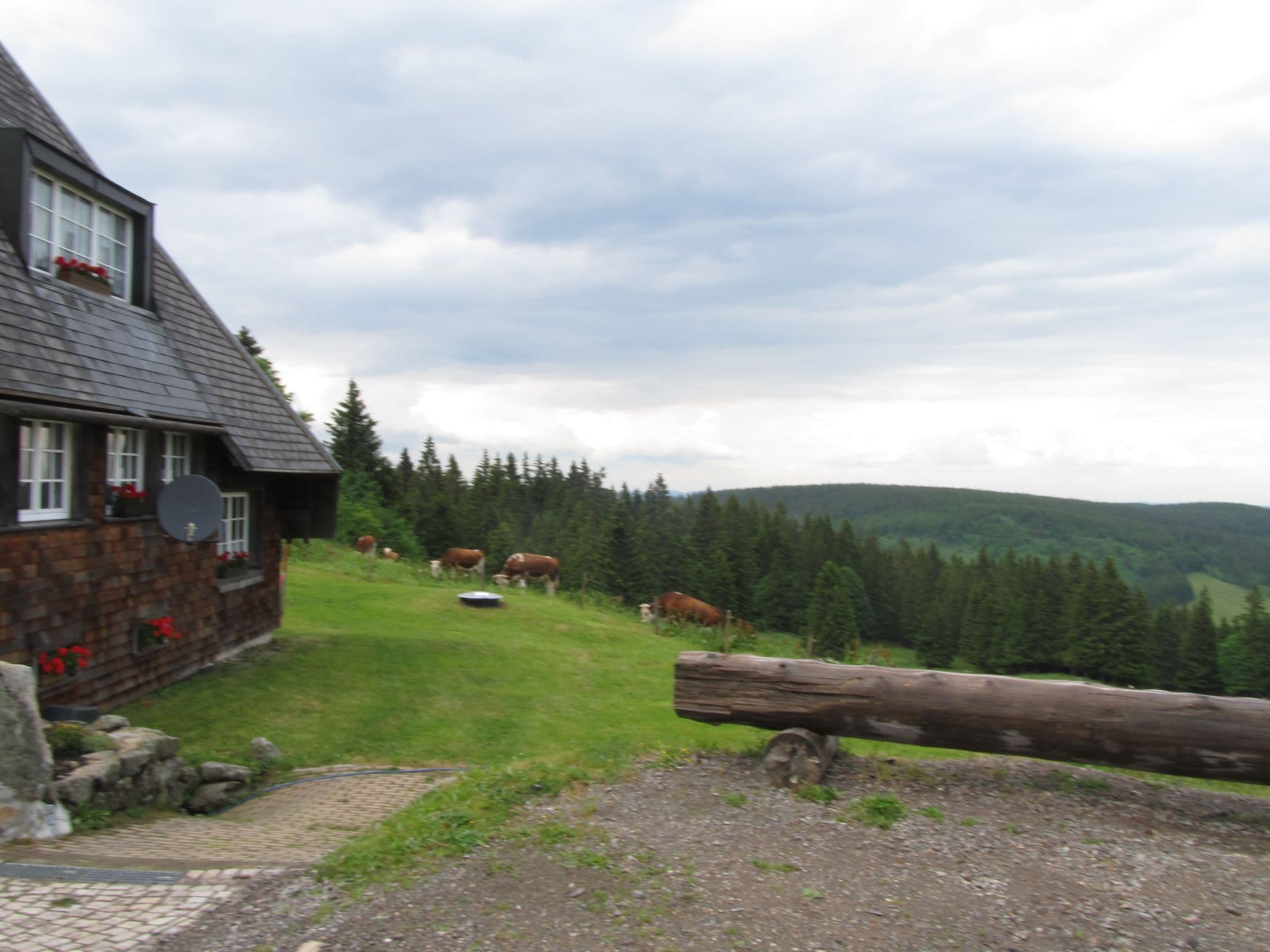 Street view near Baldenweger Hütte, Hinterzarten — © sk53 (CC BY-SA · Mapillary)