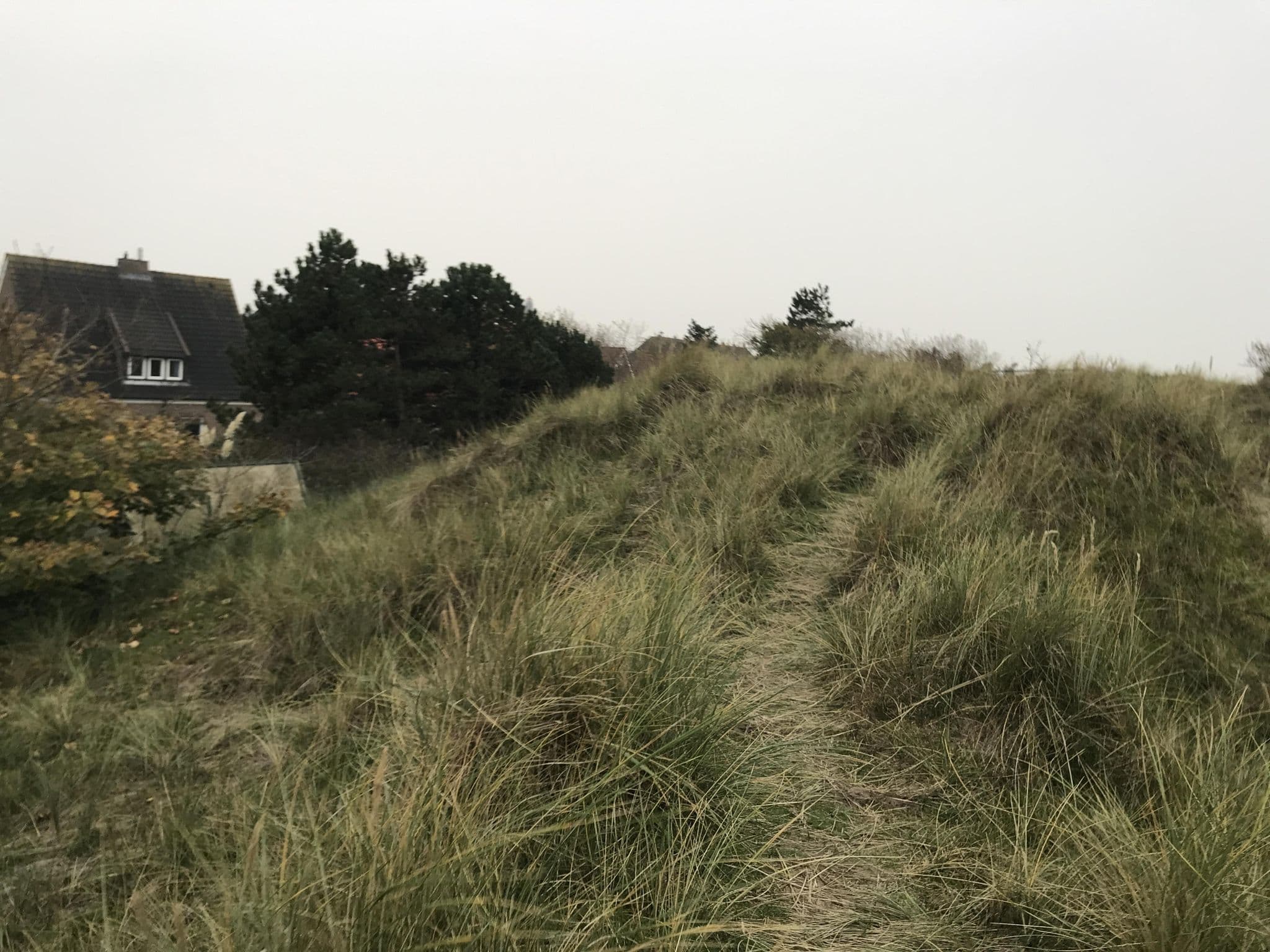 Street view near Ferienhäuser Gerritzen, Borkum