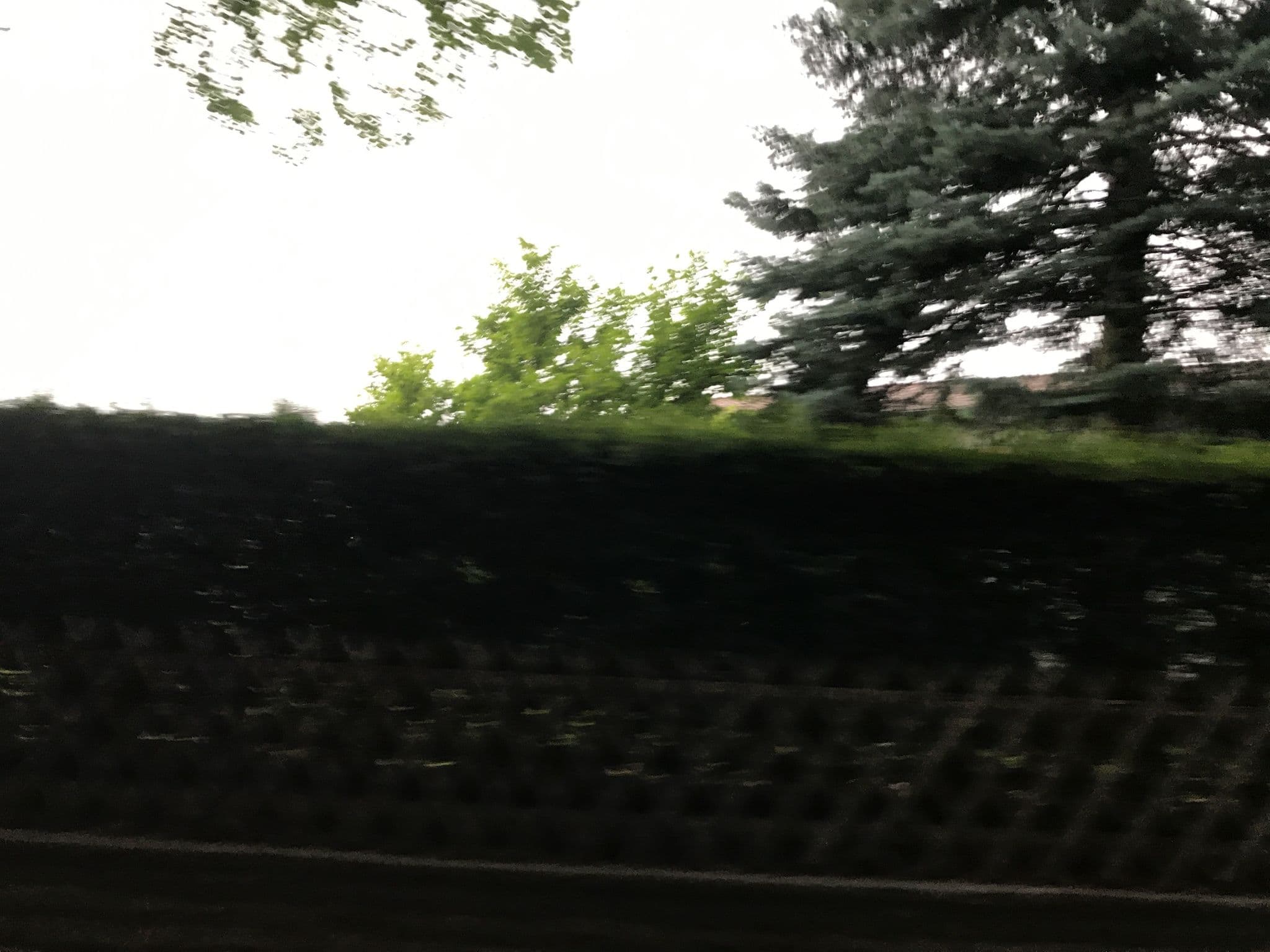 Street view near Fewo Sonnenstübchen, Bad Harzburg — © bitnapper (CC BY-SA · Mapillary)