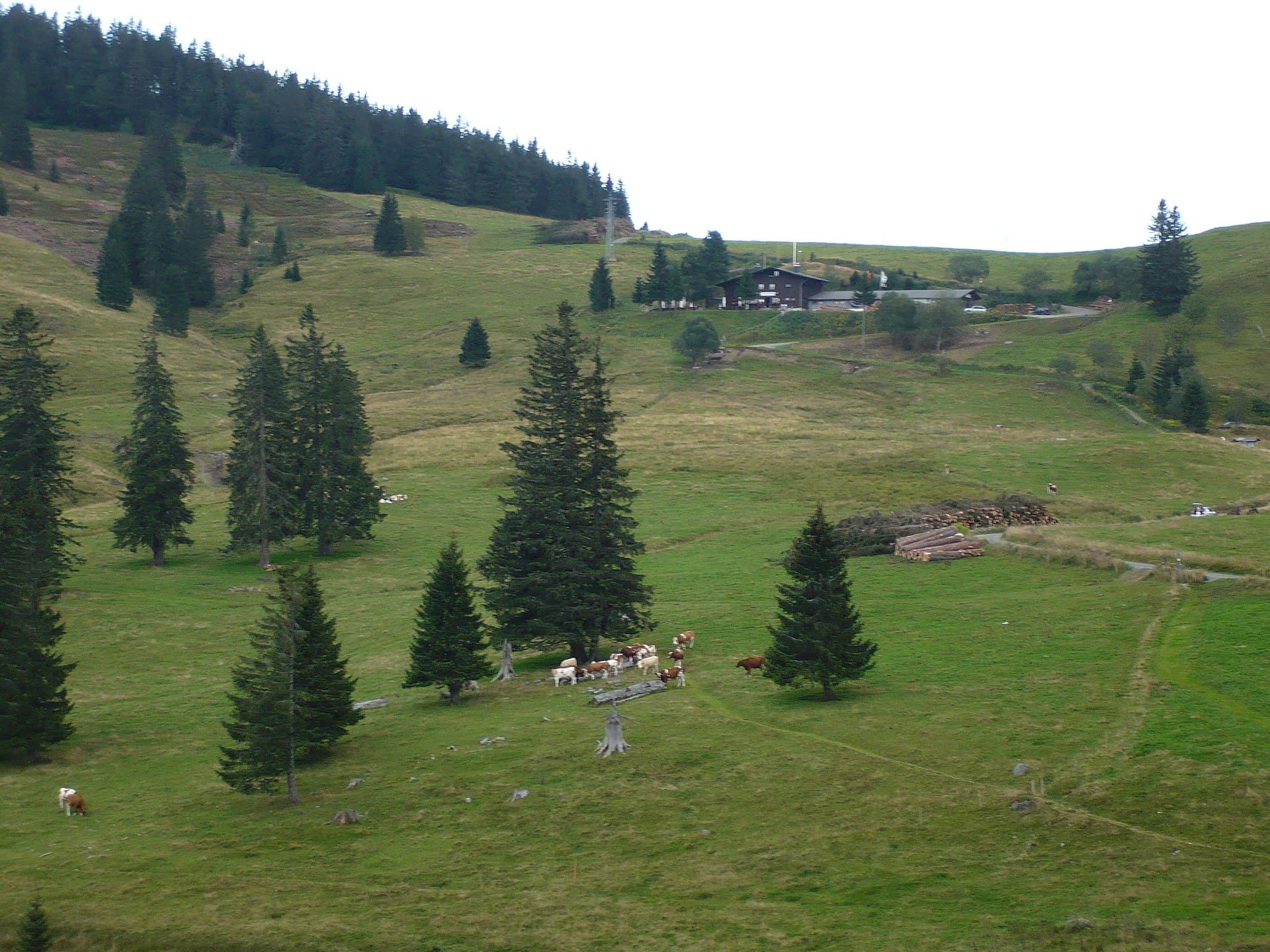 Krunkelbachhütte (via Wikimedia Commons, CC BY-SA 3.0)