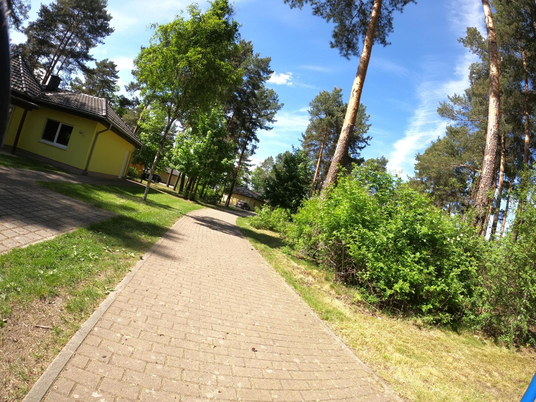 Street view near 136, Senftenberg — © masterofnoroad (CC BY-SA · Mapillary)