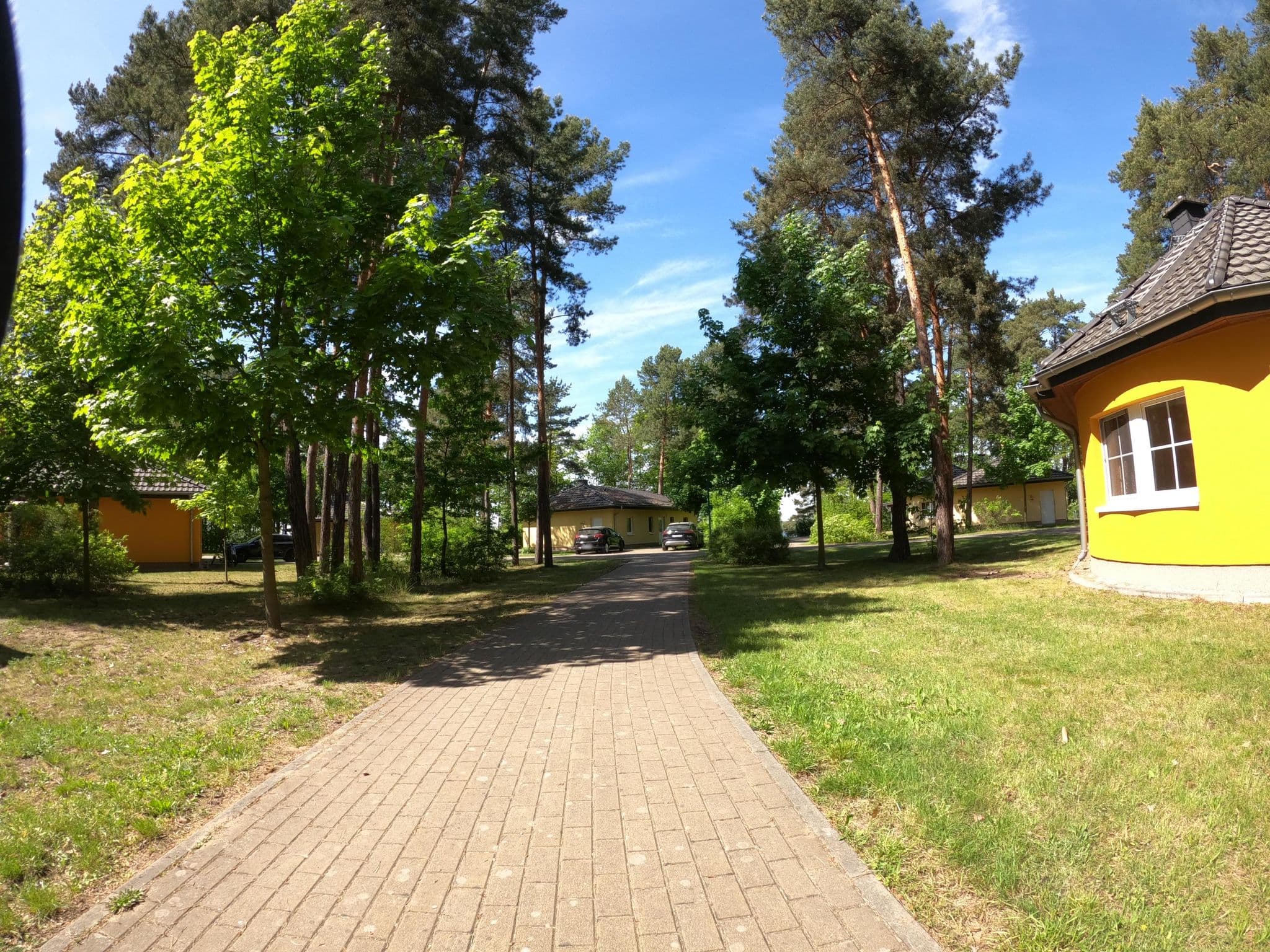 Street view near 135, Senftenberg — © masterofnoroad (CC BY-SA · Mapillary)