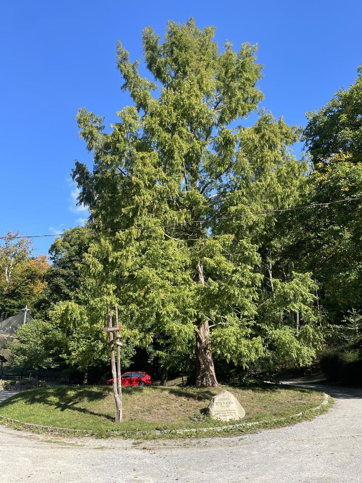 Street view near Pension Christianental, Wernigerode — © surveyor99 (CC BY-SA · Mapillary)