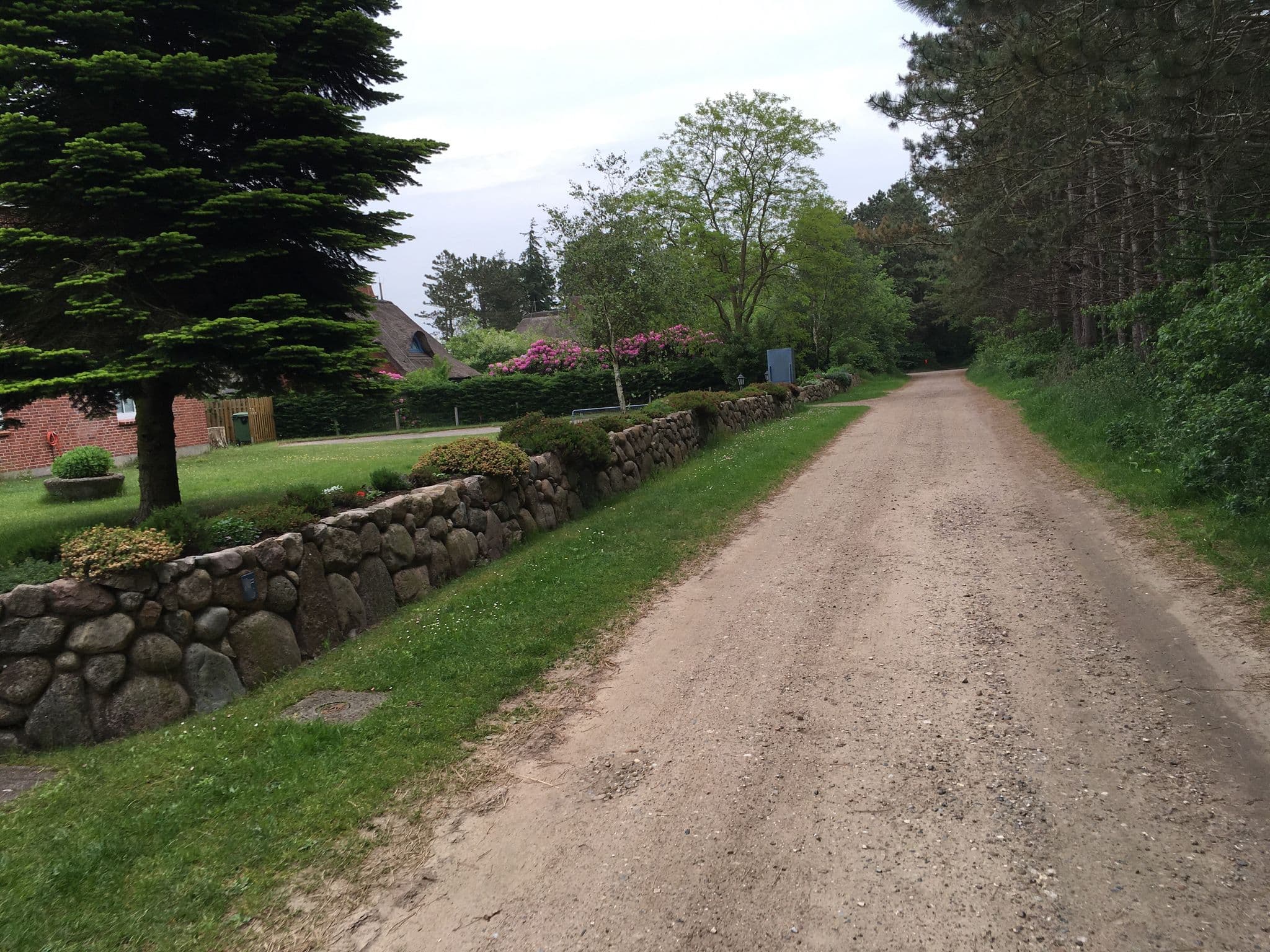 Street view near Haus Waltraud, Wyk auf Föhr