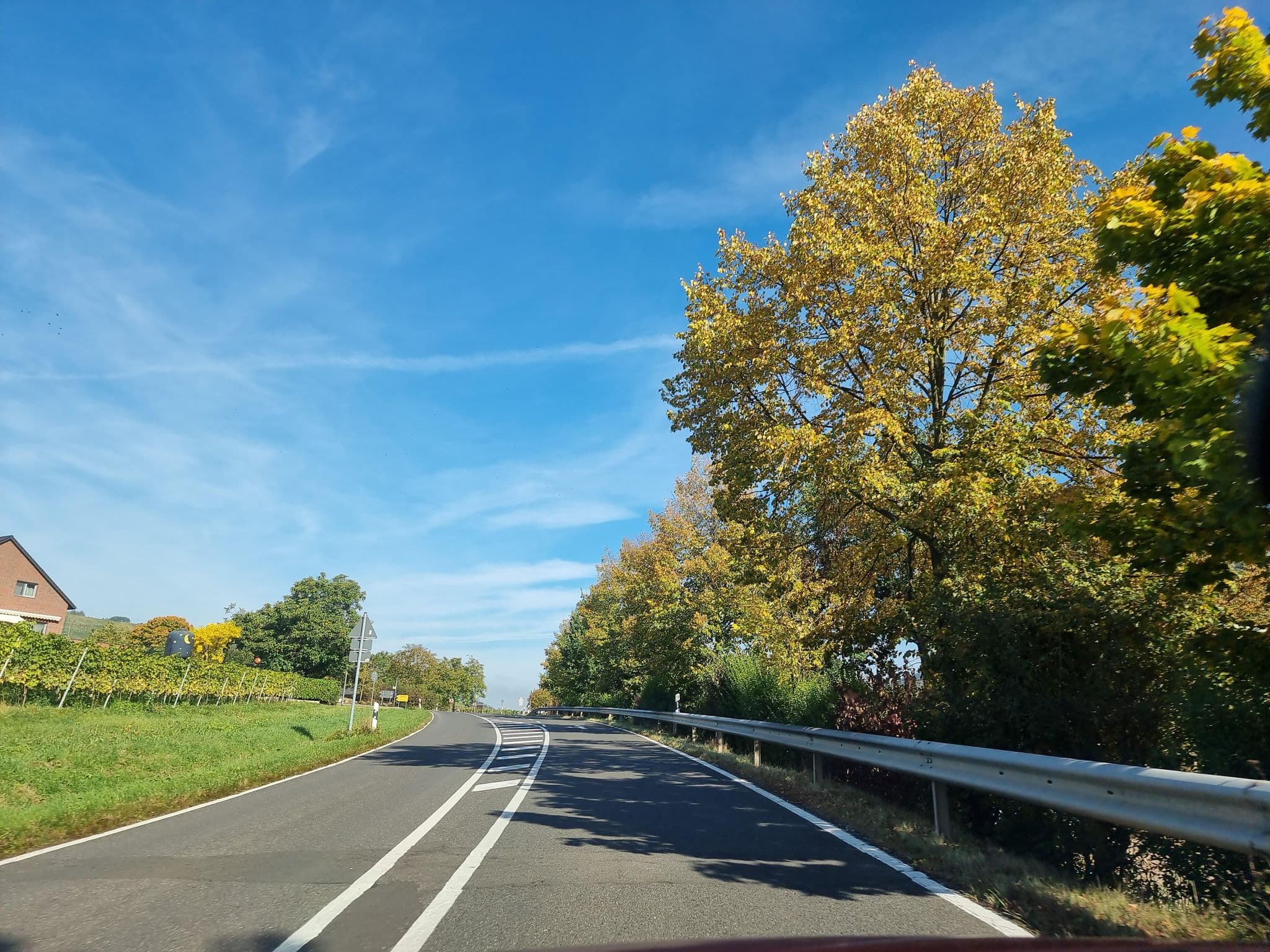 Street view near Reisemobilpark Minheim, Piesport — © ma_rt_in (CC BY-SA · Mapillary)