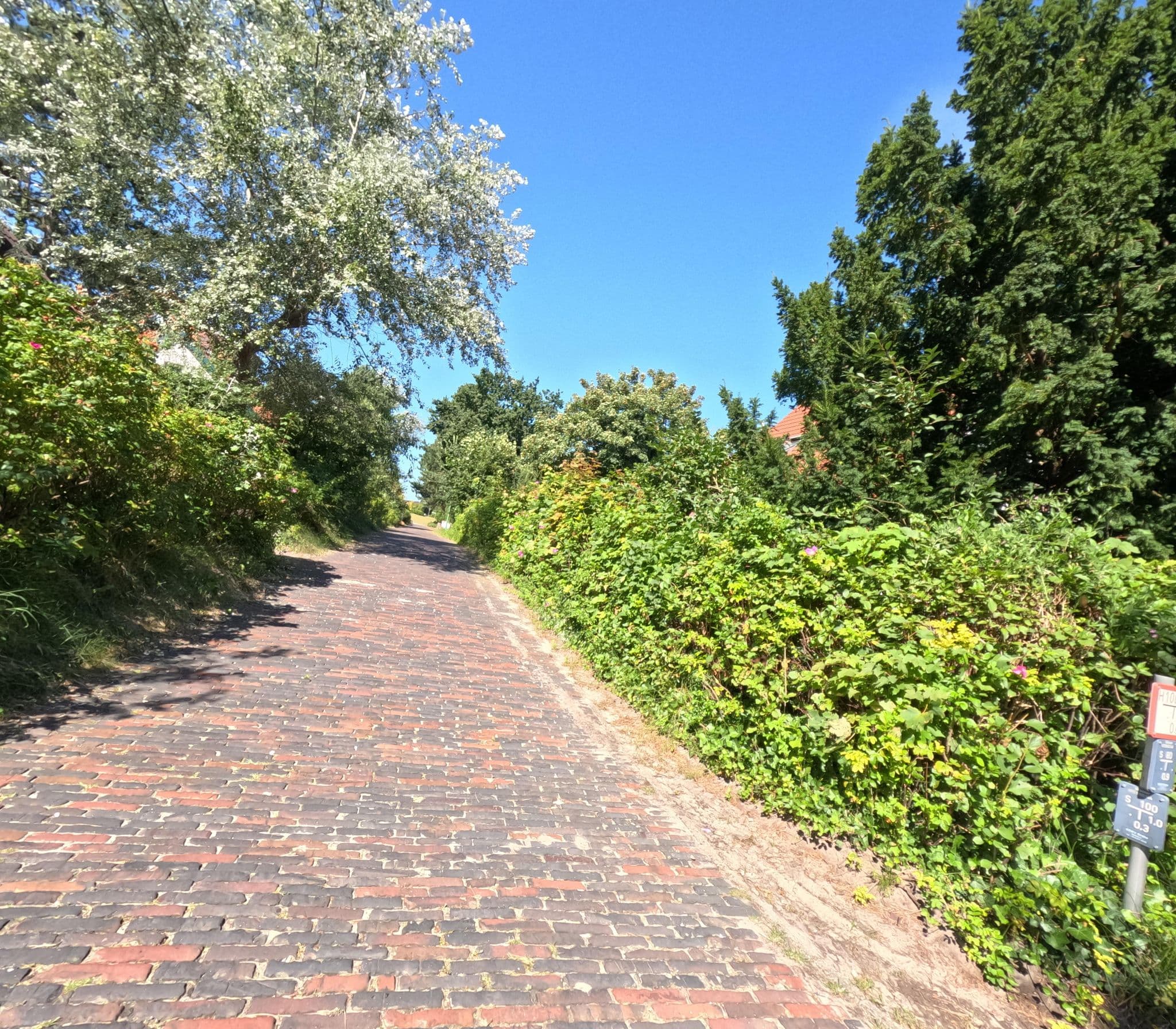 Street view near Long Island, Langeoog — © rempshaener (CC BY-SA · Mapillary)