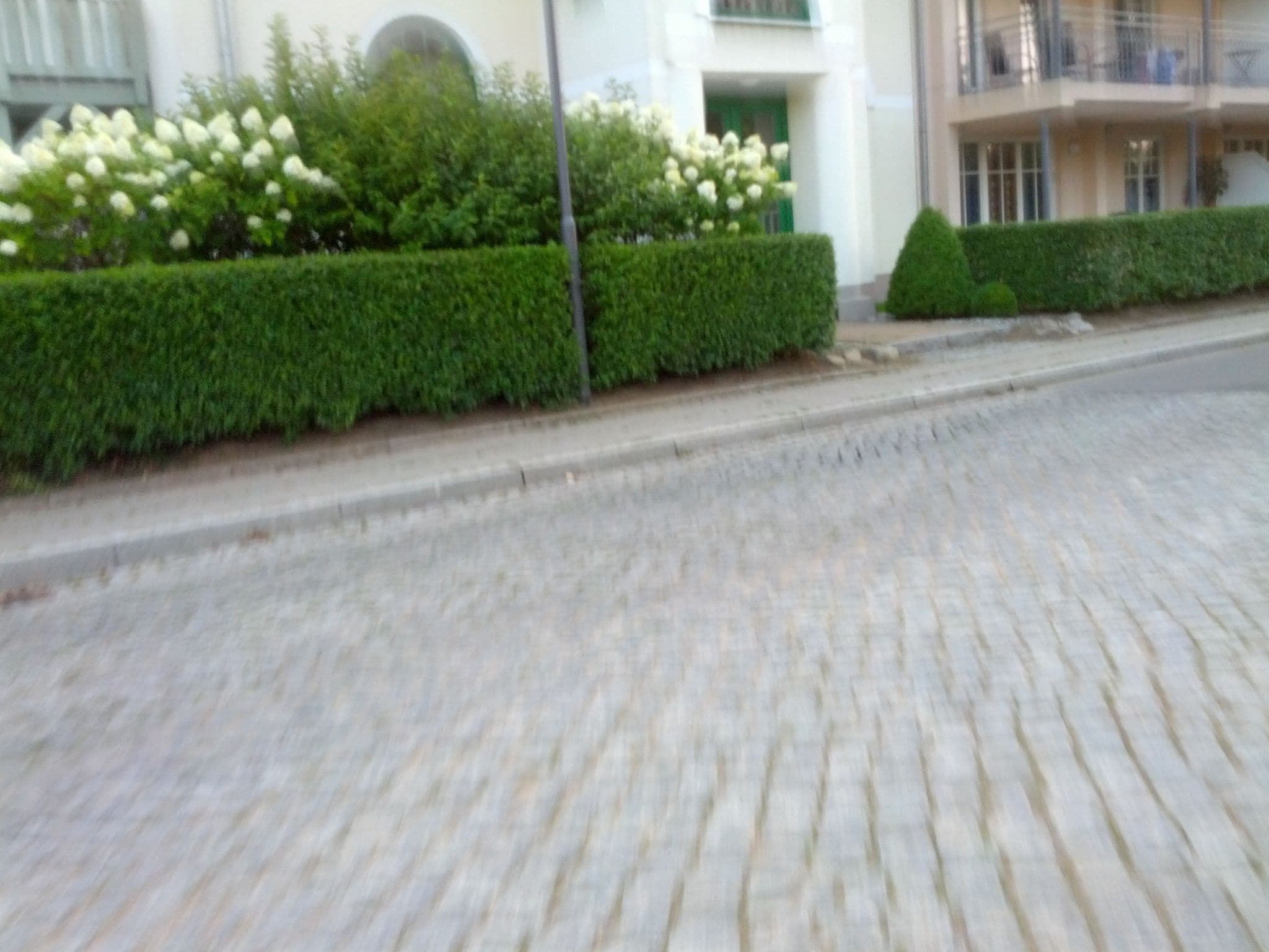 Street view near Villa Minerva, Ostseebad Kühlungsborn — © zoegglmeyr (CC BY-SA · Mapillary)