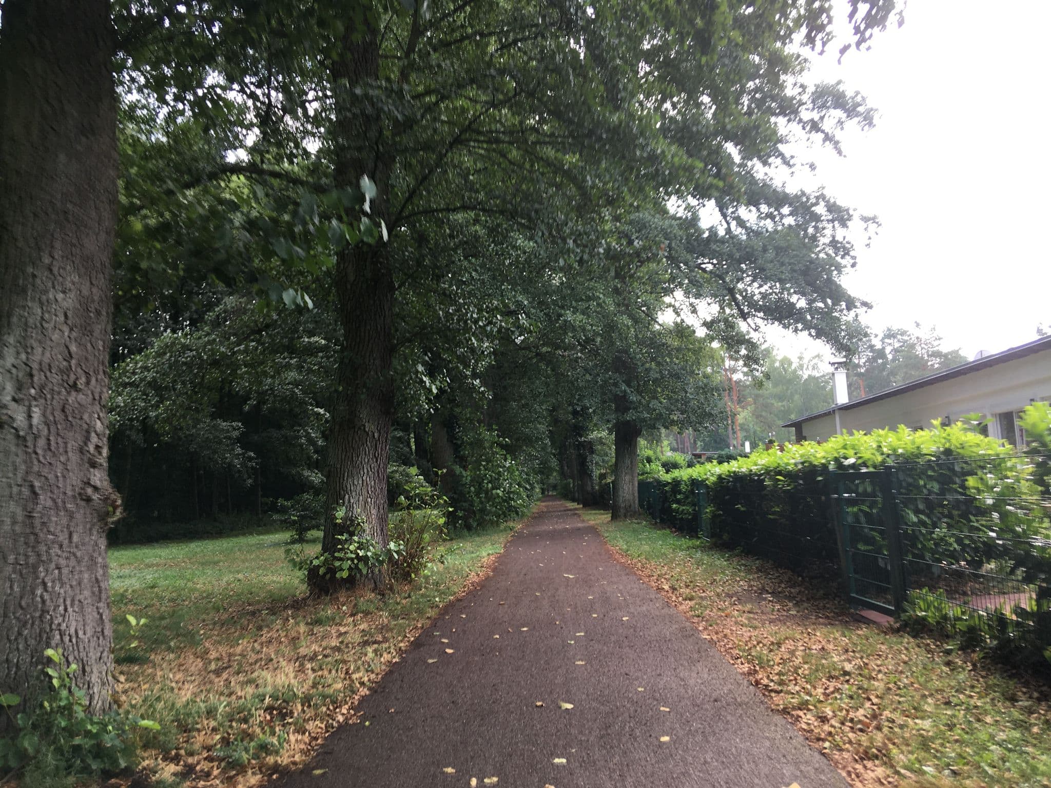 Street view near Bungalows, Joachimsthal — © carlheinz (CC BY-SA · Mapillary)