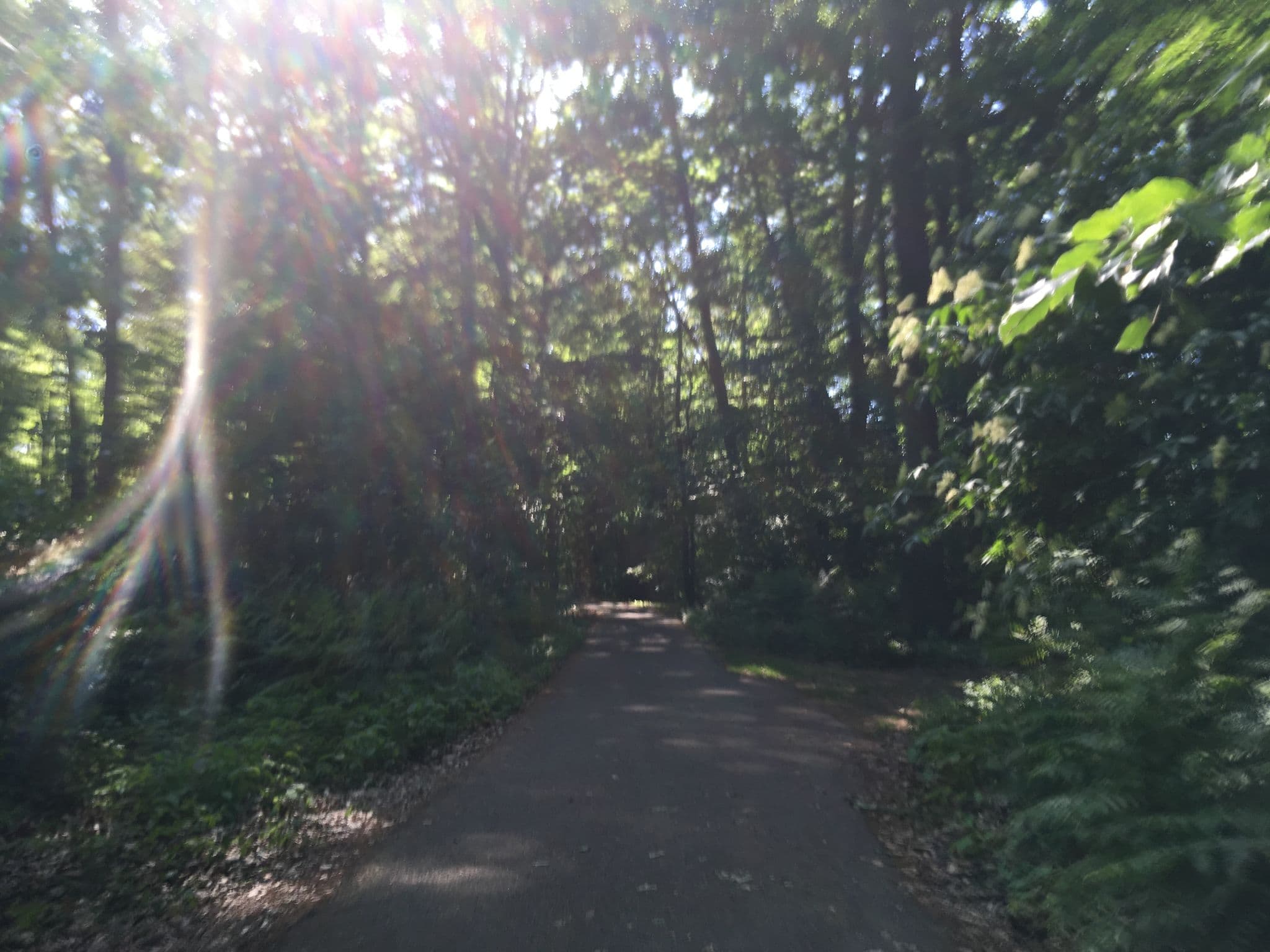 Street view near Bungalow 9, Joachimsthal — © carlheinz (CC BY-SA · Mapillary)