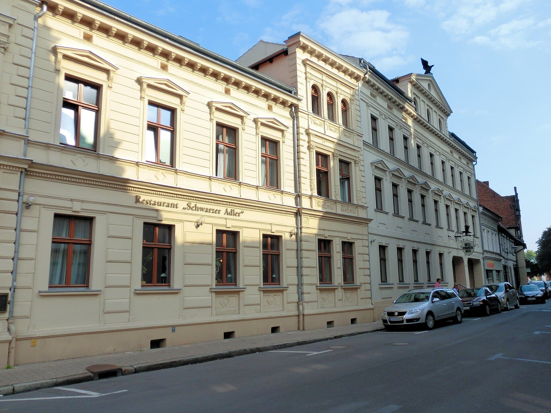 Schwarzer Adler (via Wikimedia Commons, CC BY-SA 3.0)