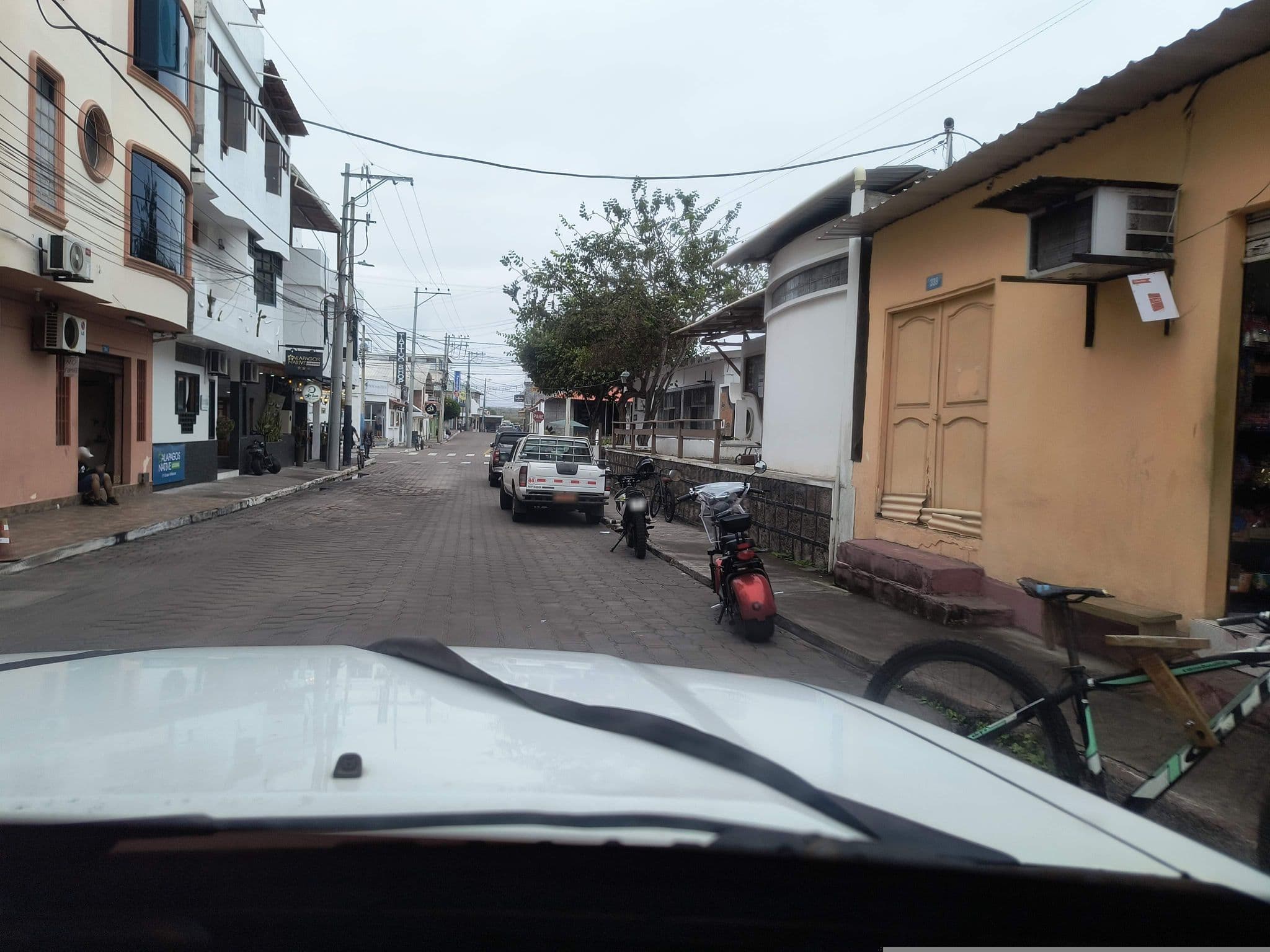 Street view near Flamingo, Puerto Ayora — © mapeadora (CC BY-SA · Mapillary)