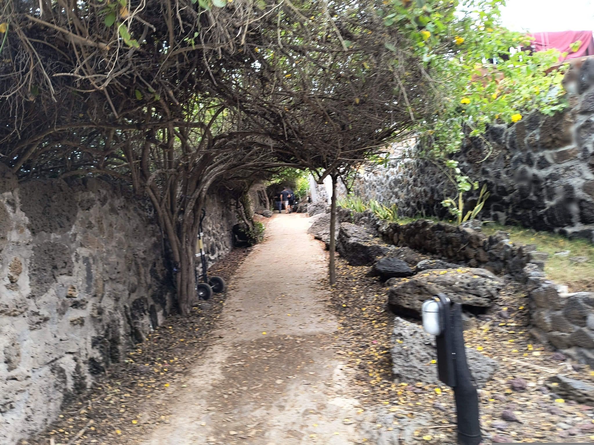 Street view near Jean's Home, Puerto Ayora — © mapeadora (CC BY-SA · Mapillary)