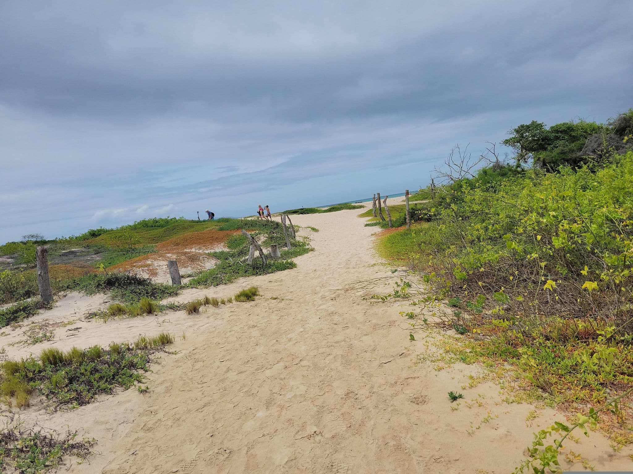 Street view near El Garrapatero, Puerto Ayora — © mlpz (CC BY-SA · Mapillary)